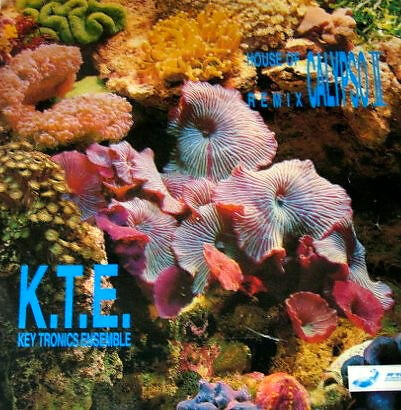 Key Tronics Ensamble