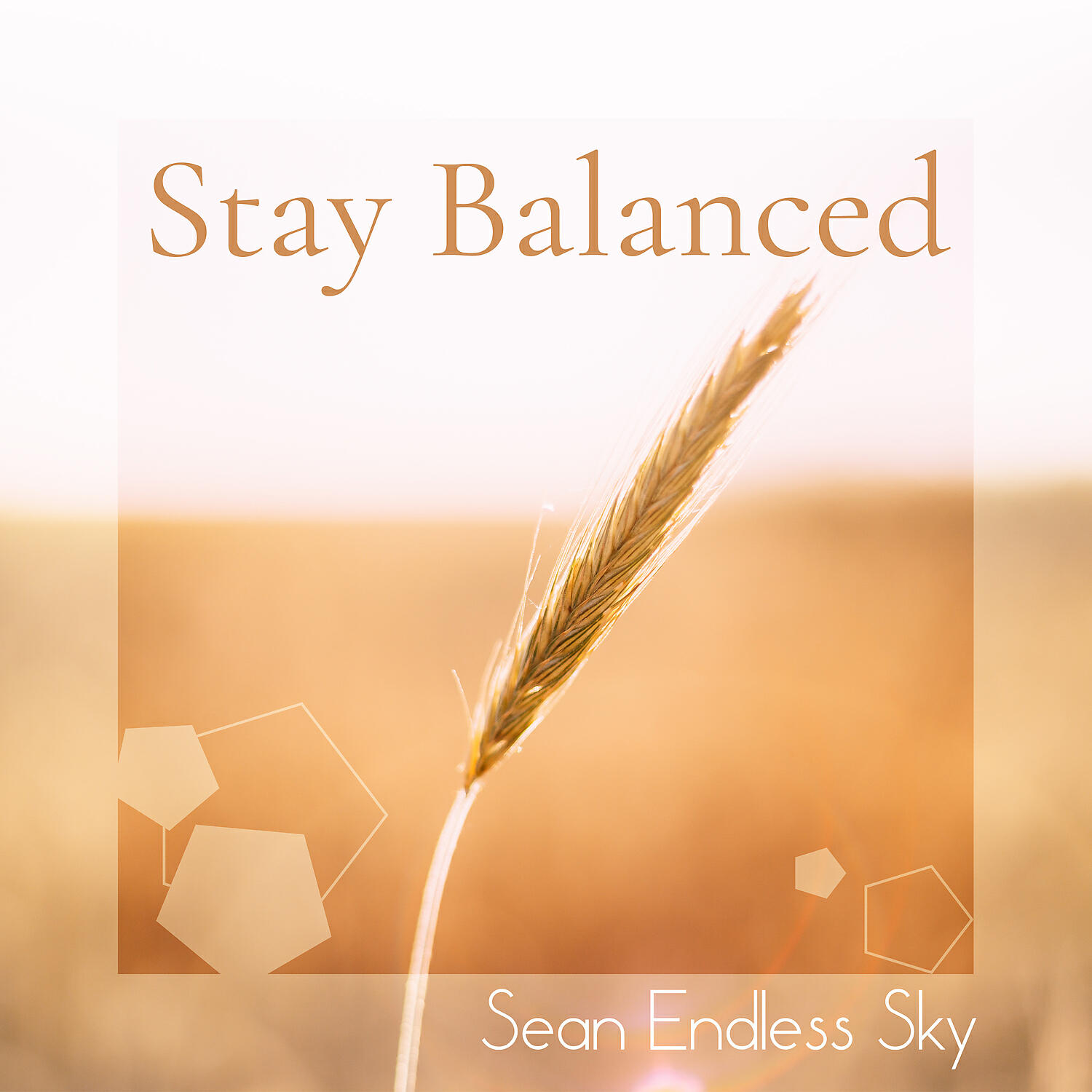Релиз Stay Balanced