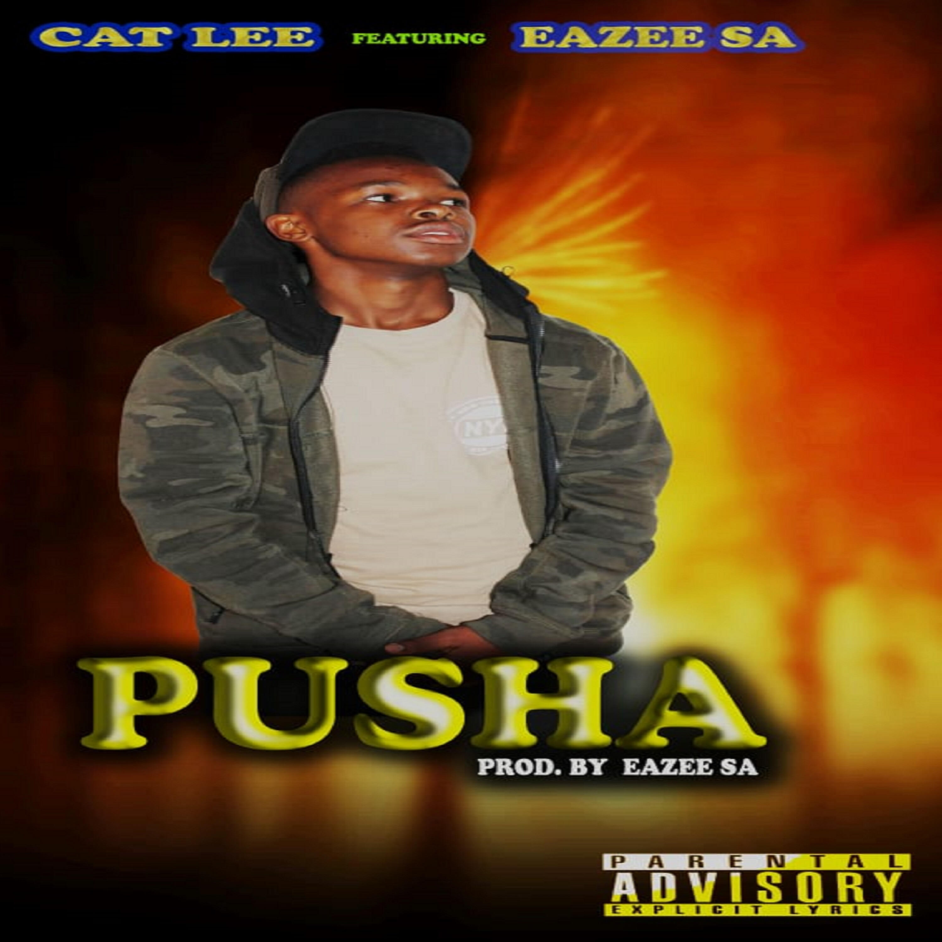 Релиз Pusha