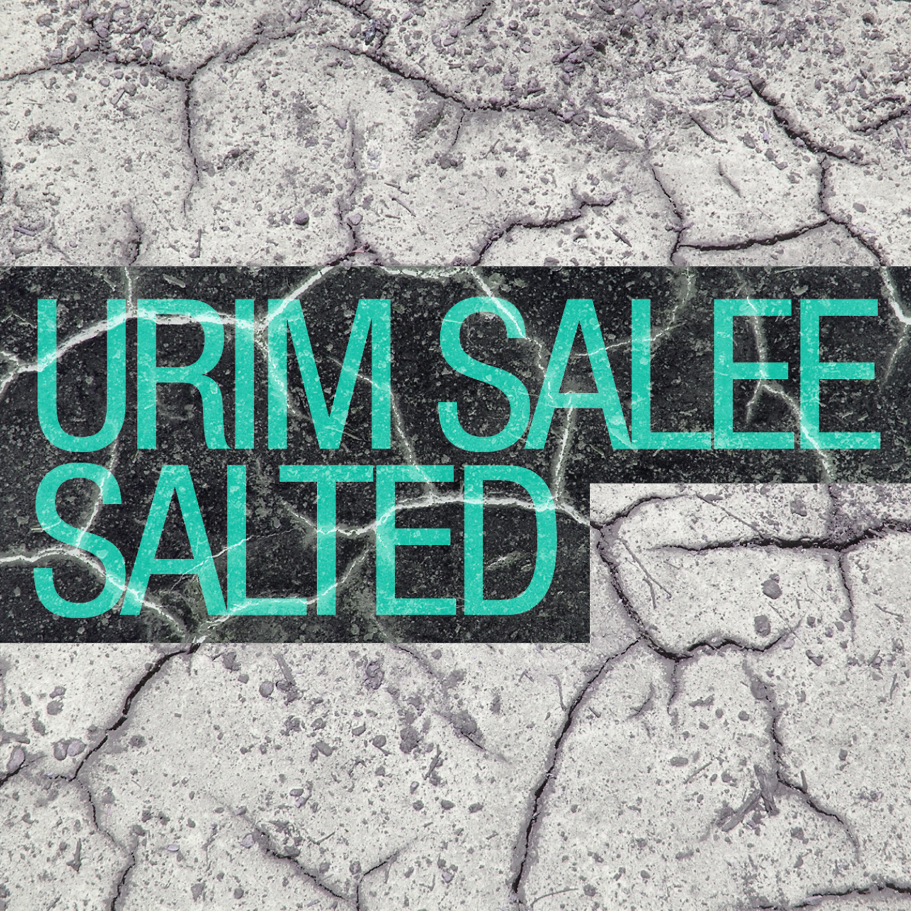 Релиз Salted
