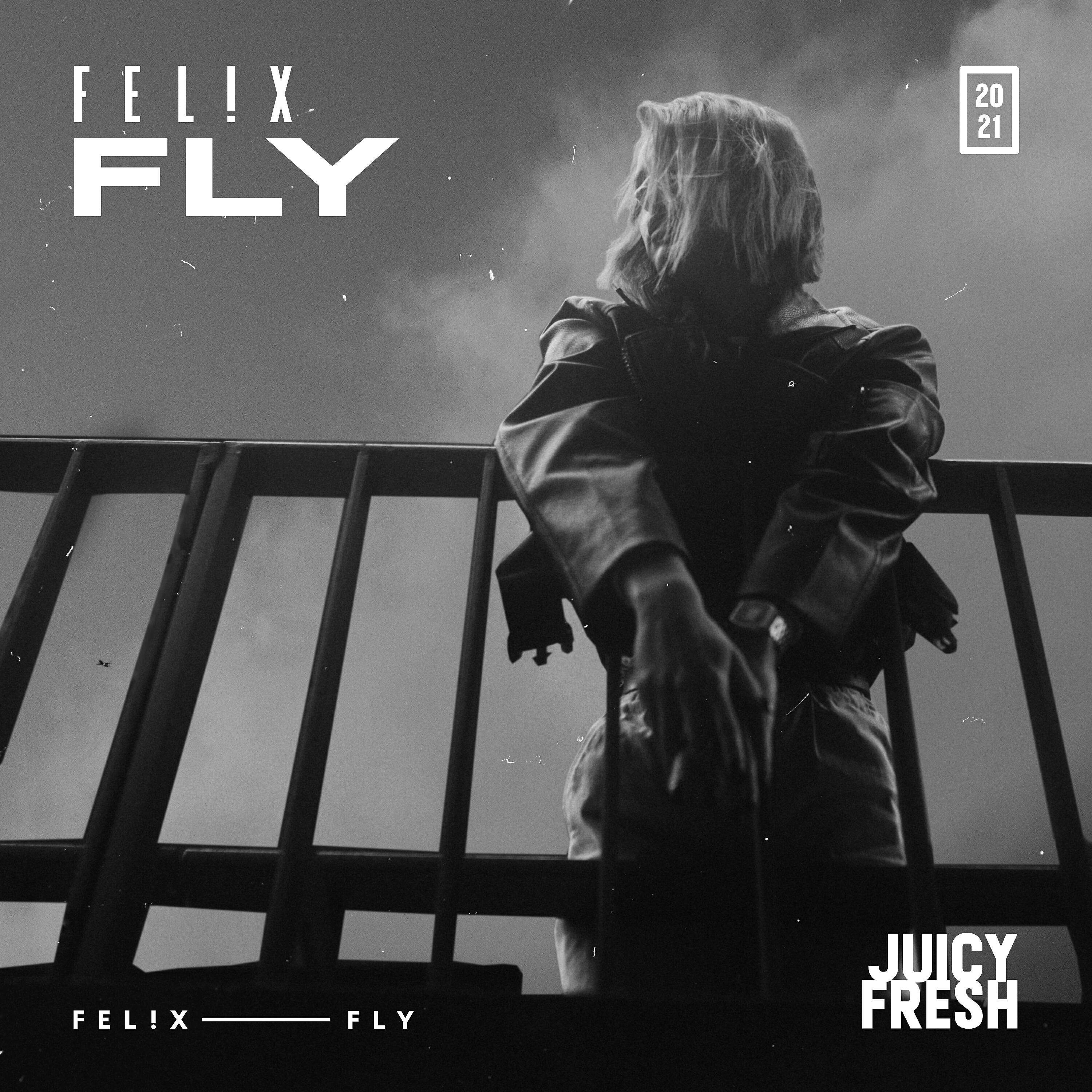 Релиз Fly