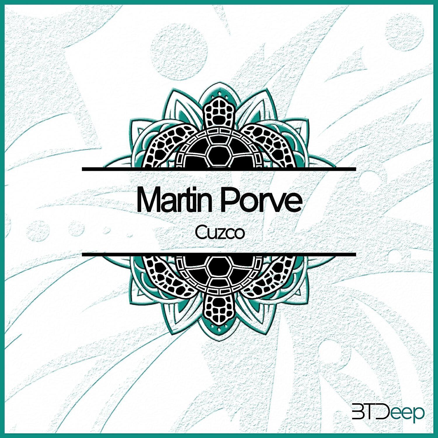Martin Porve