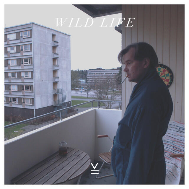 Релиз Wild Life