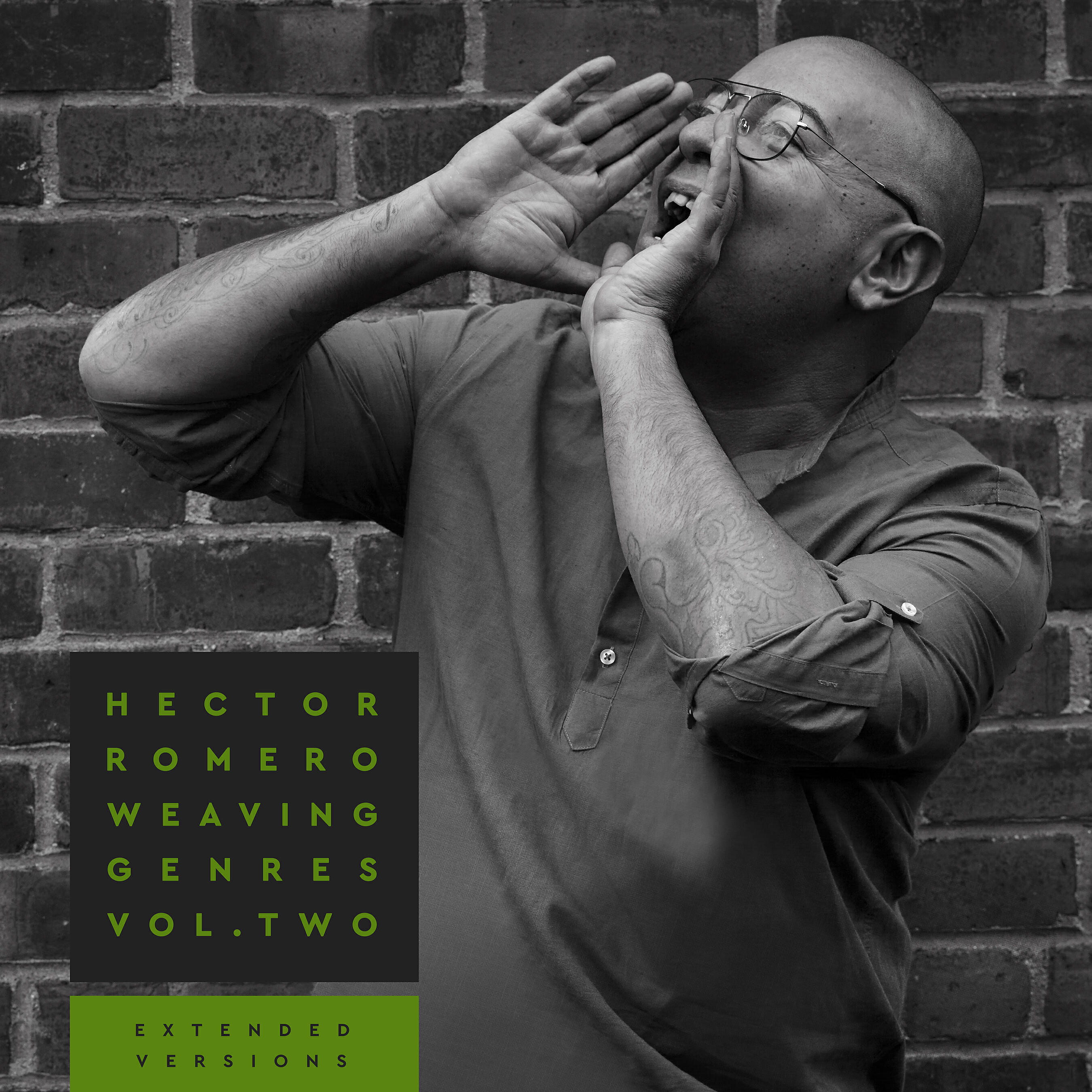 Релиз Weaving Genres, Vol. 2: Extended Versions