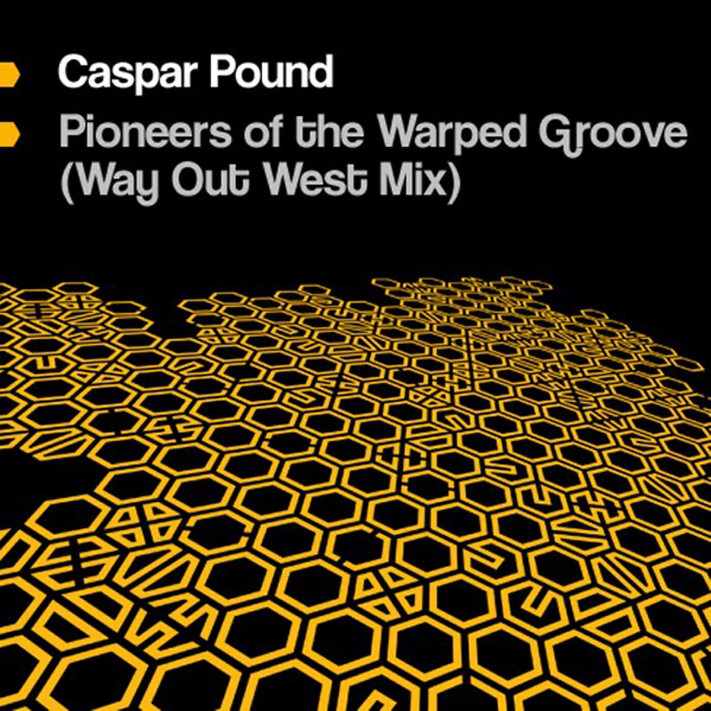 Релиз Pioneers Of The Warped Groove