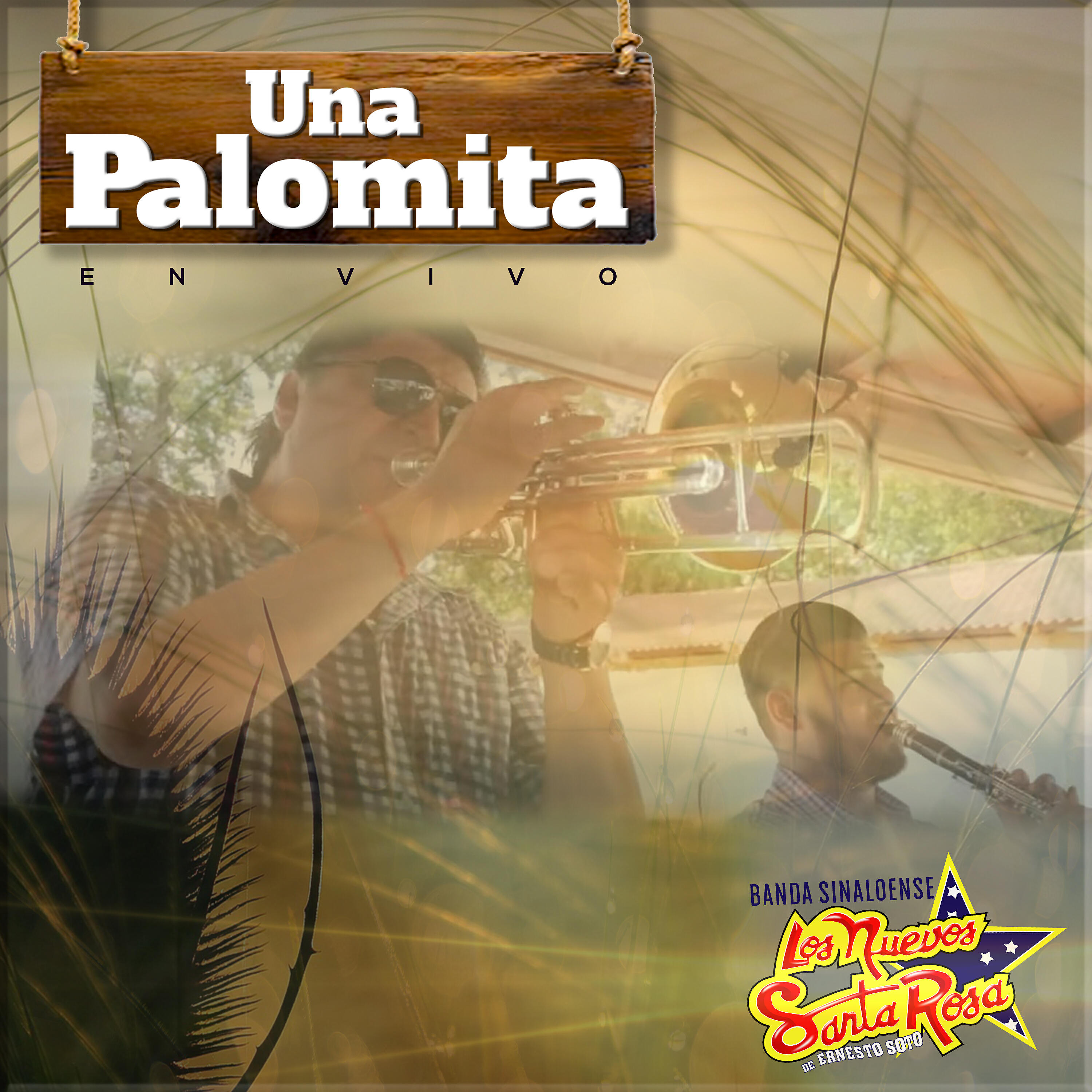 Релиз Una Palomita (En Vivo)