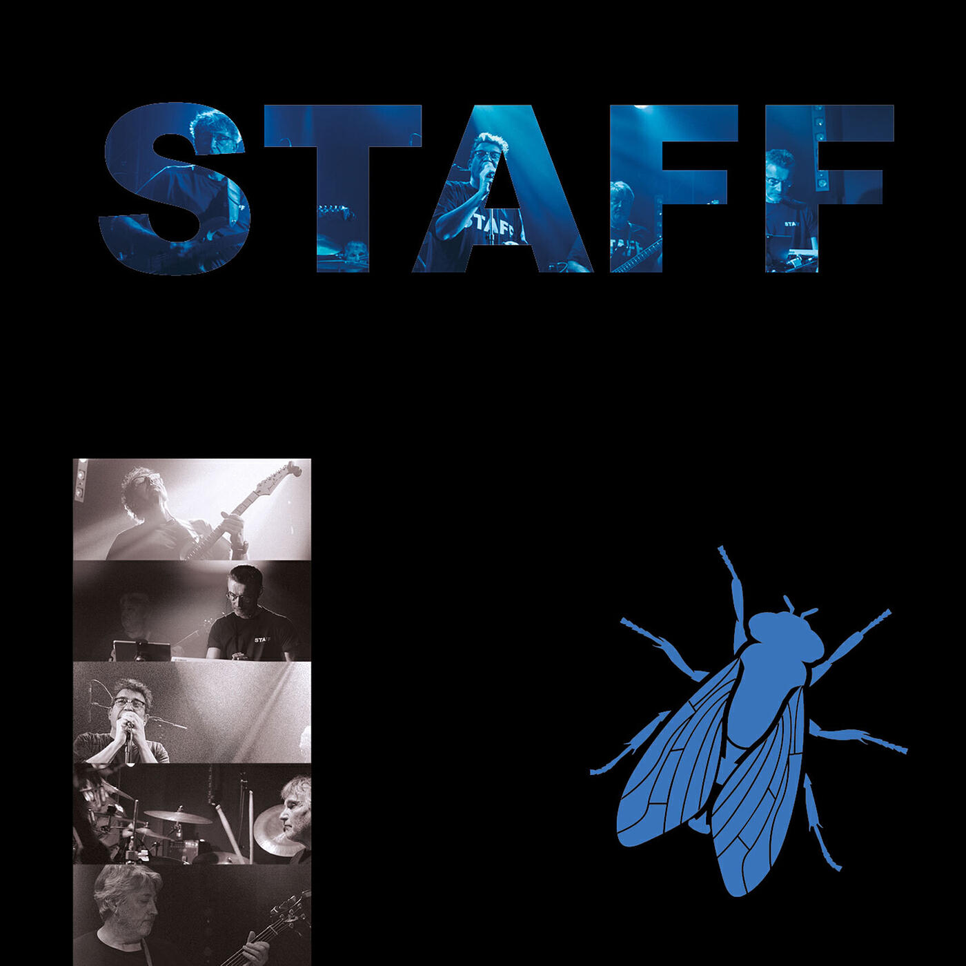 Релиз STAFF