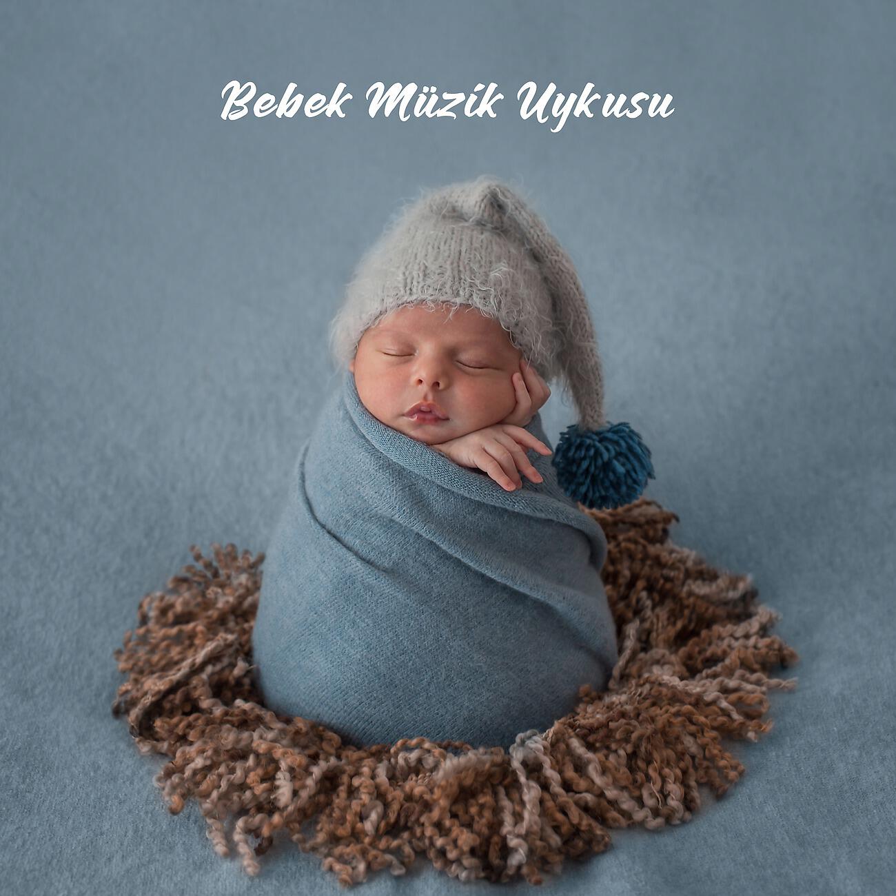 Релиз Bebek Müzik Uykusu