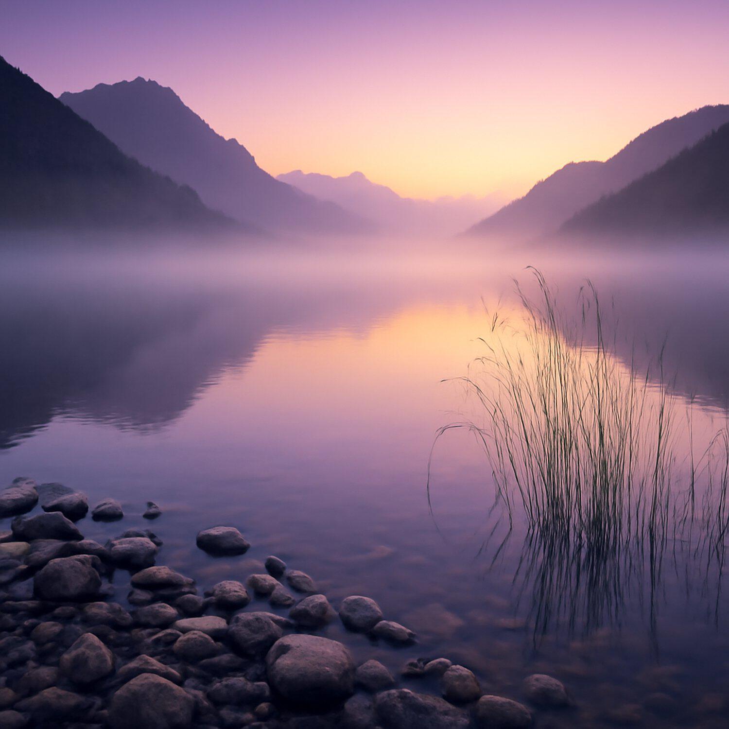 Релиз Zen Mood