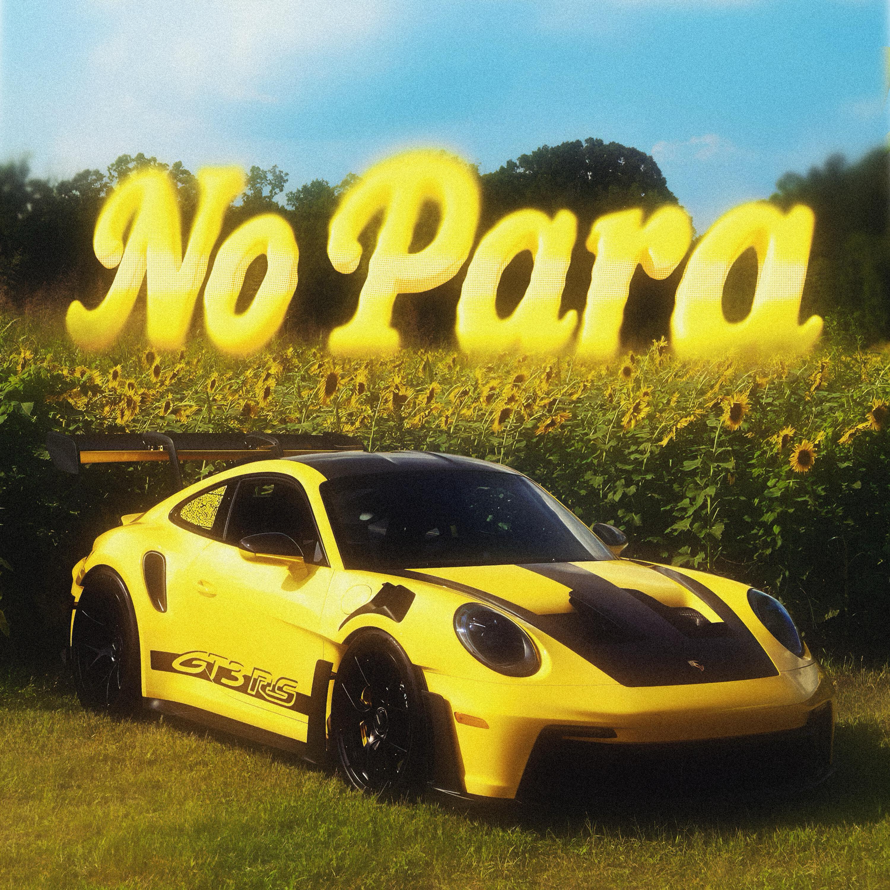 Постер альбома NO PARA