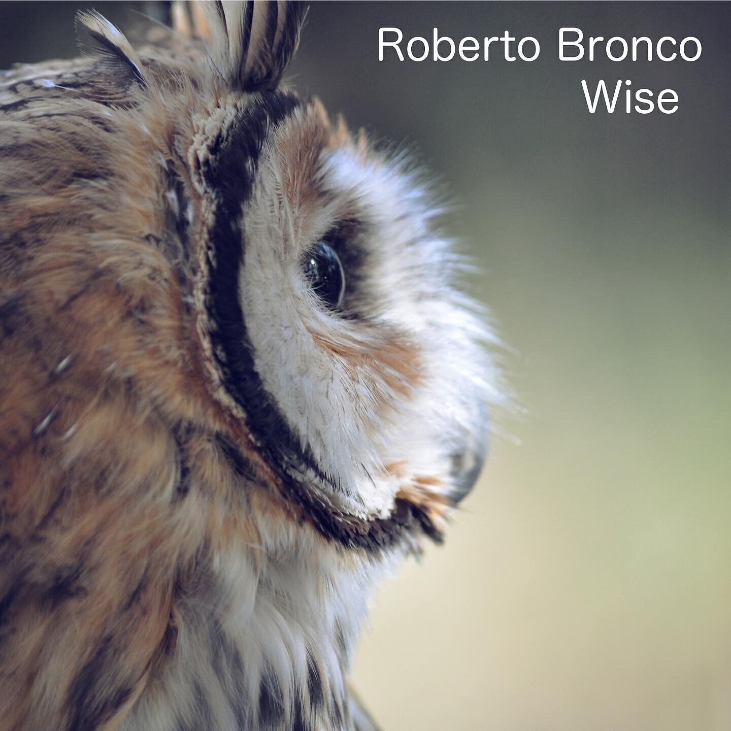 Релиз Wise