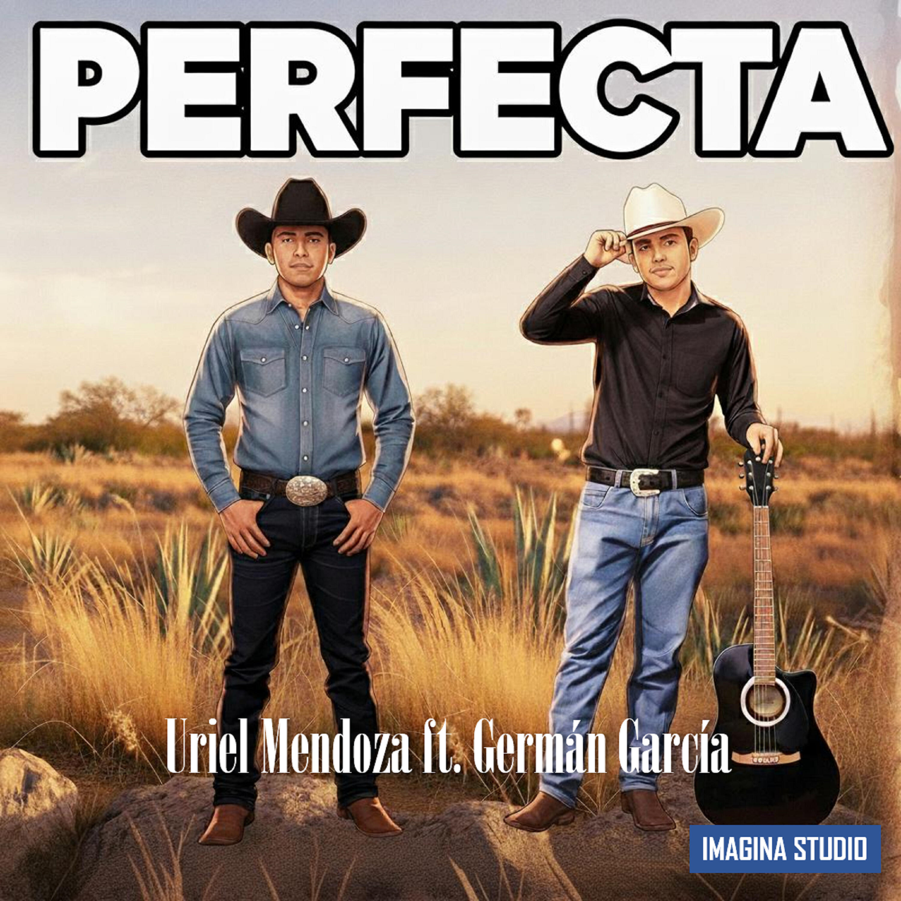 Релиз Perfecta