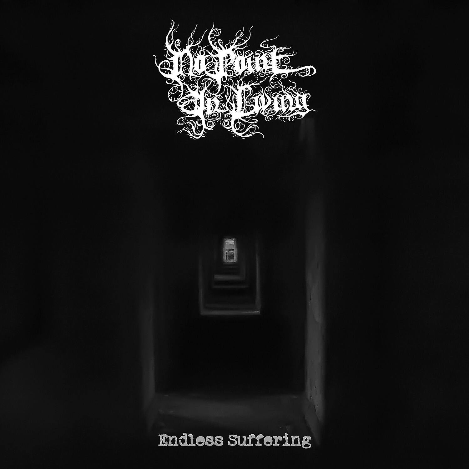 Постер альбома Endless Suffering