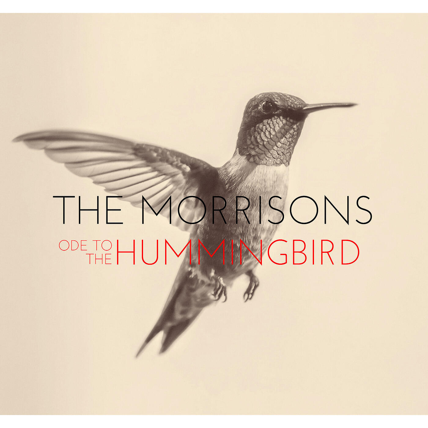 Релиз Ode to the Hummingbird