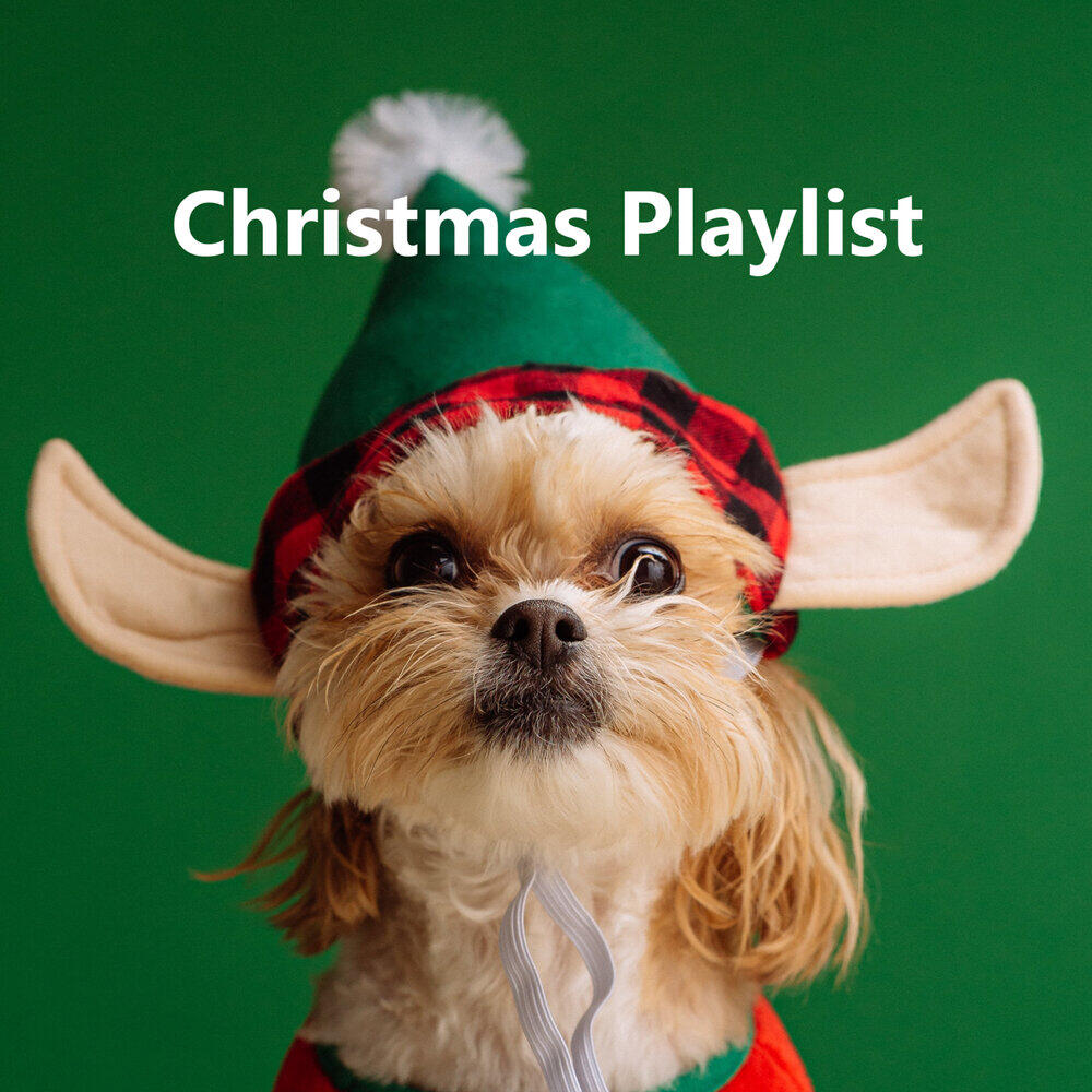 Релиз Christmas Playlist