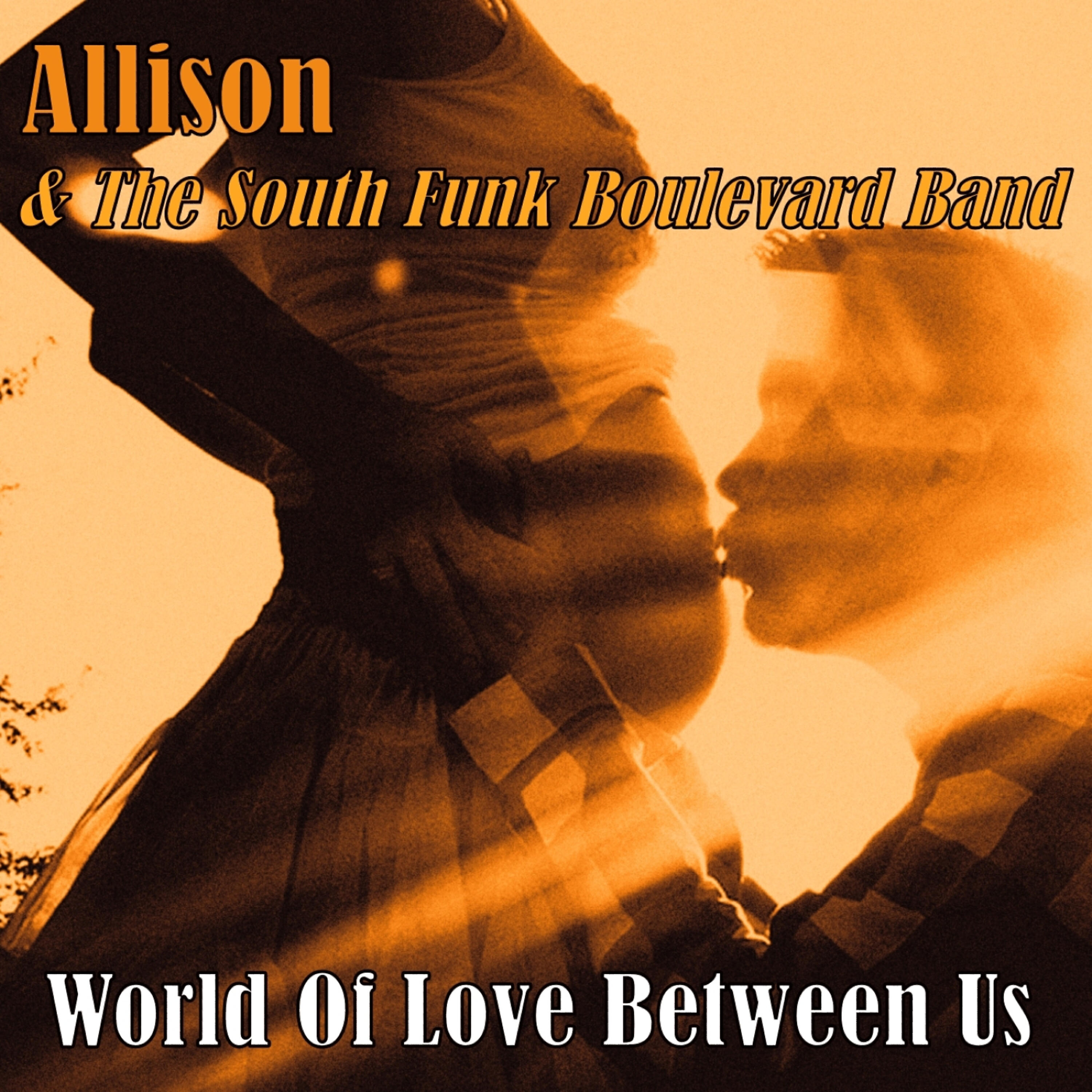 The South Funk Boulevard Band