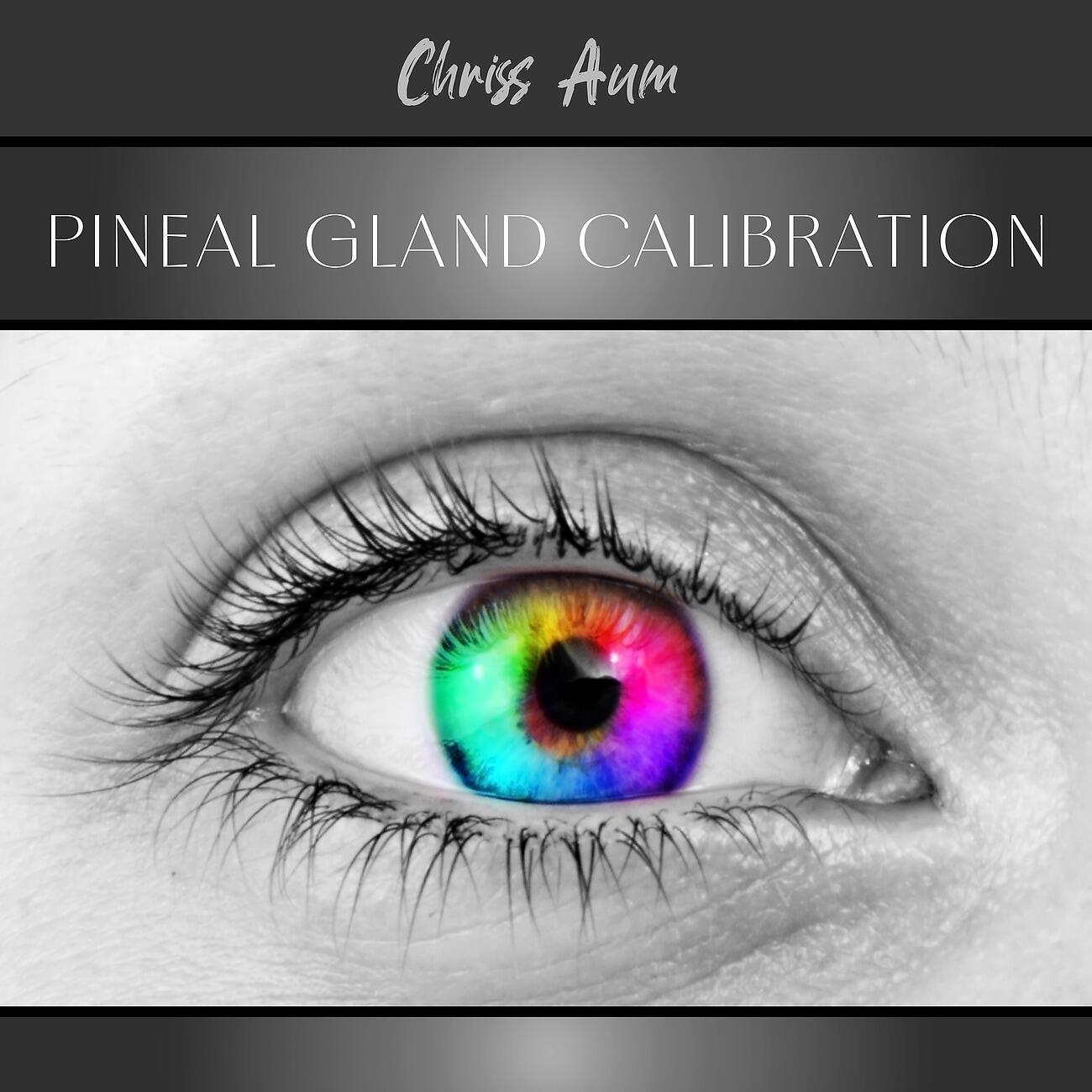 Релиз Pineal Gland Calibration