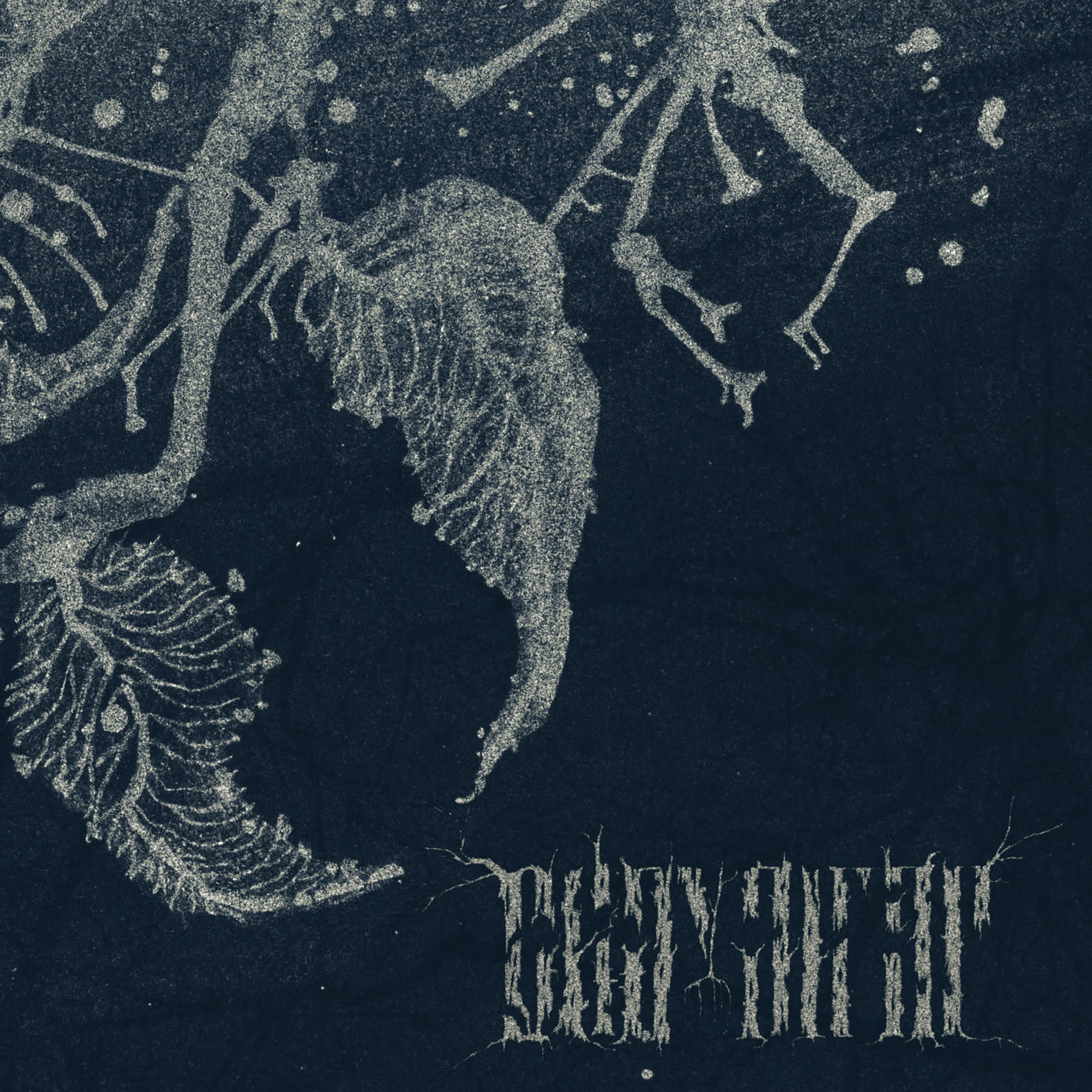 Релиз The Void Grimoire