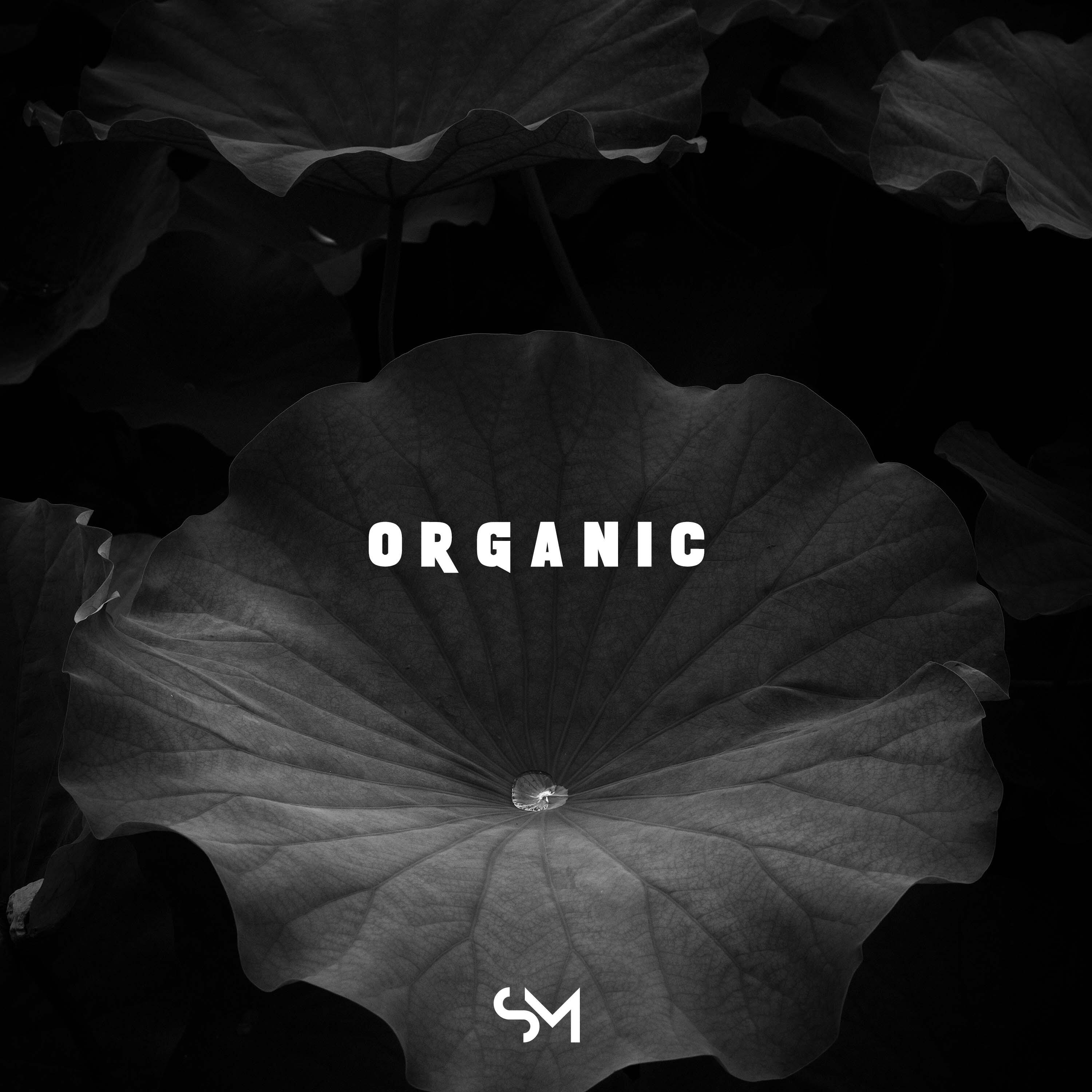 Релиз Organic