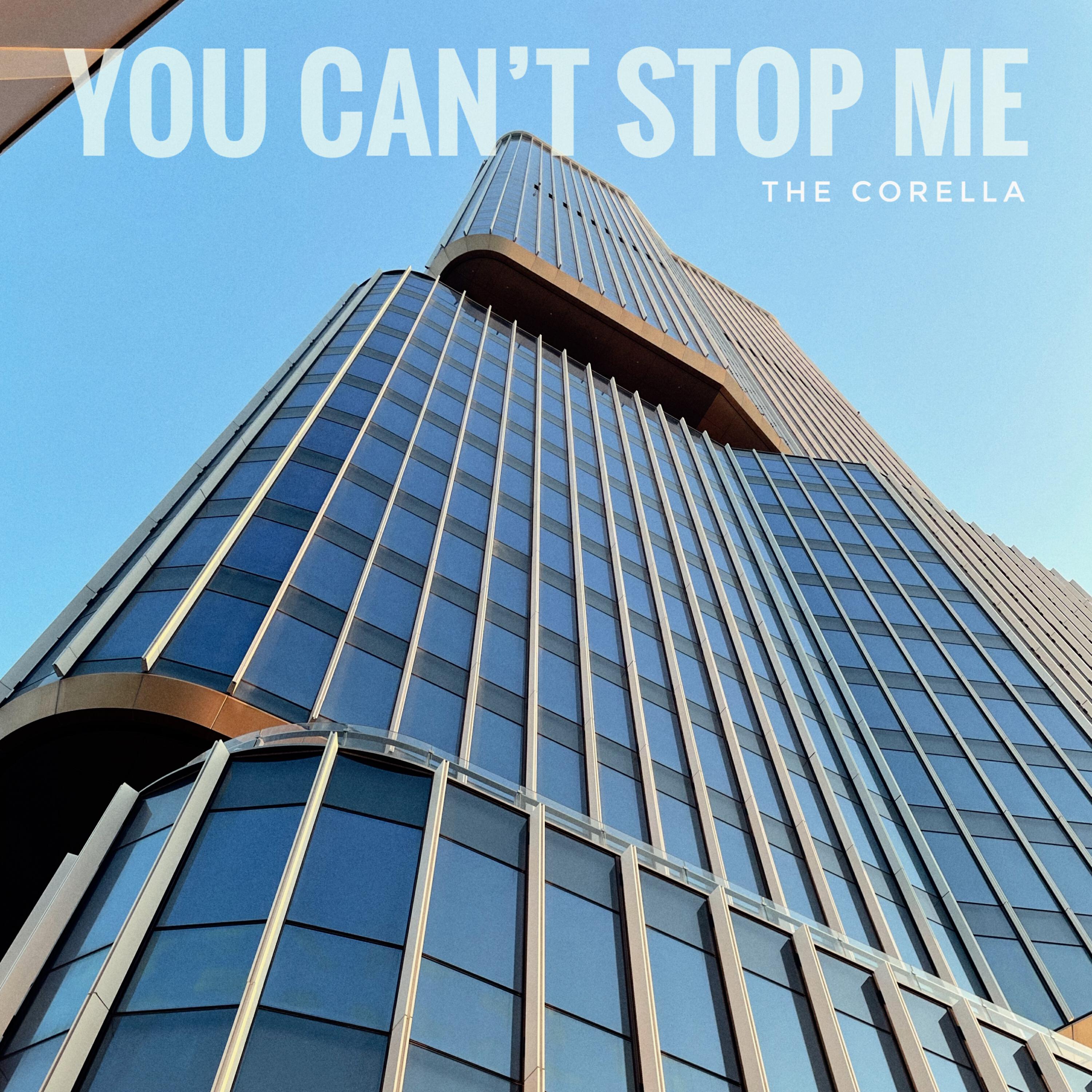 Релиз You Can't Stop Me