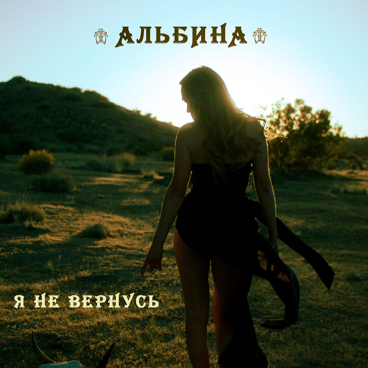 Постер альбома Я не вернусь