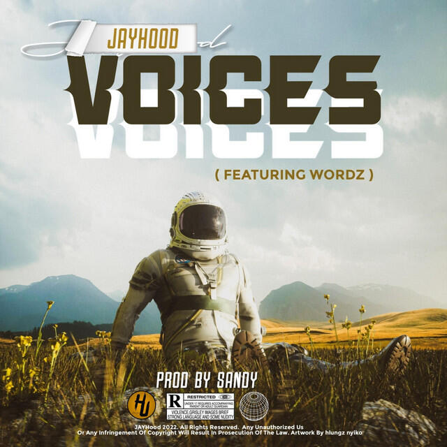 Релиз Voices