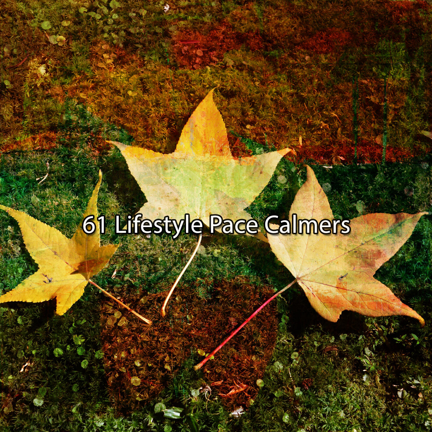 Relaxing Meditation Songs Divine