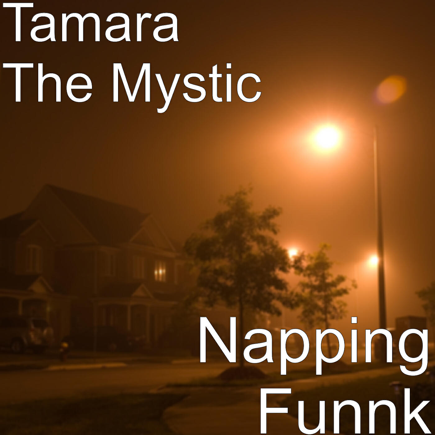 Постер альбома Napping Funnk