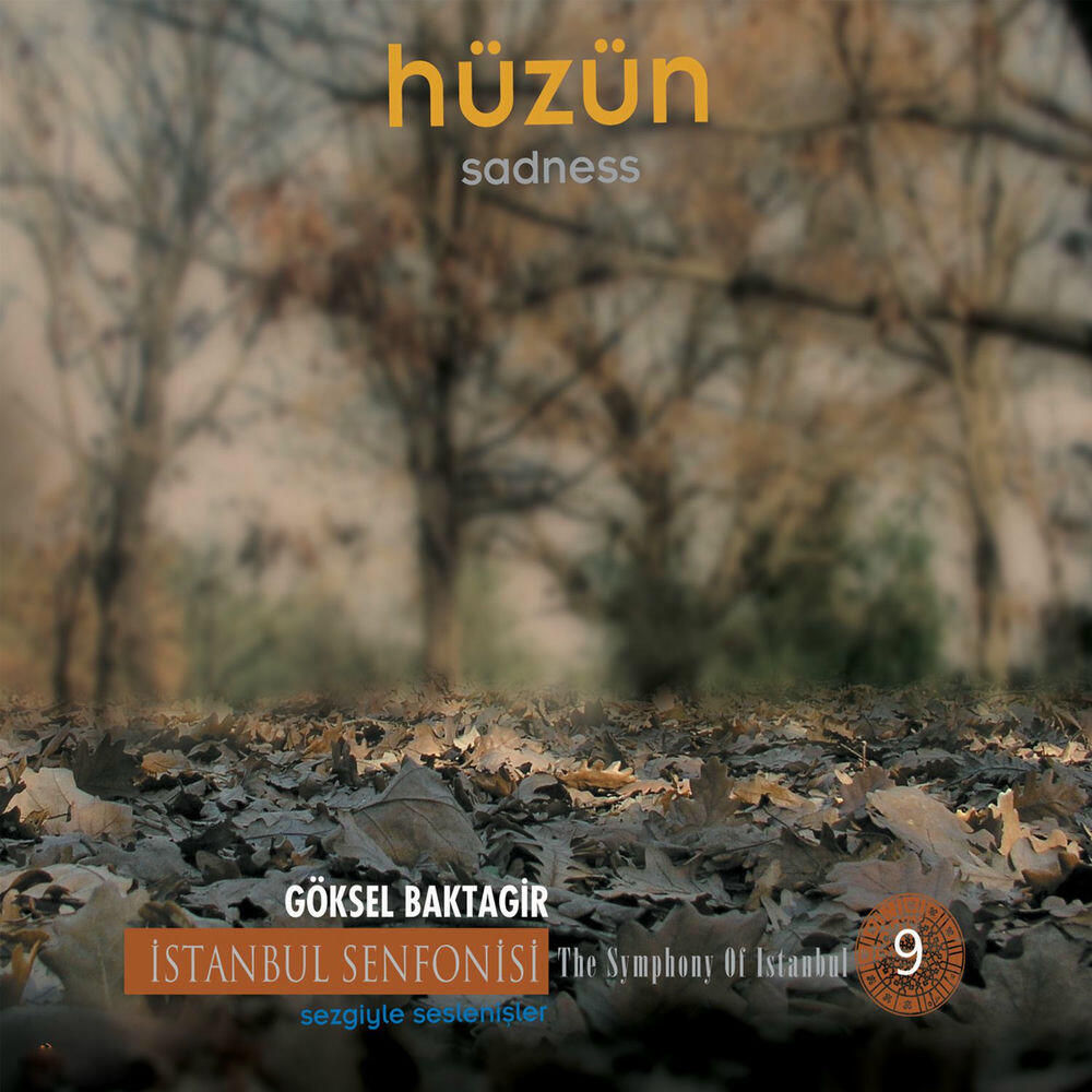 Релиз Hüzün