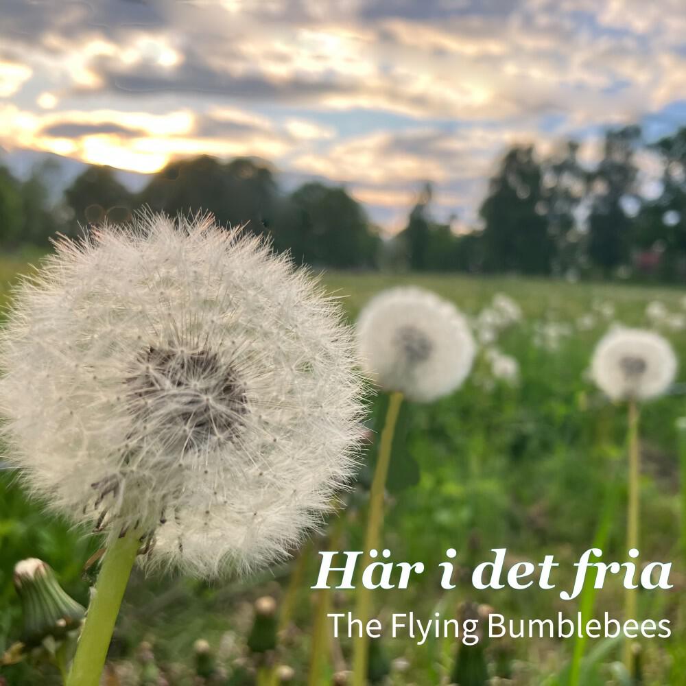 Релиз Här i Det Fria
