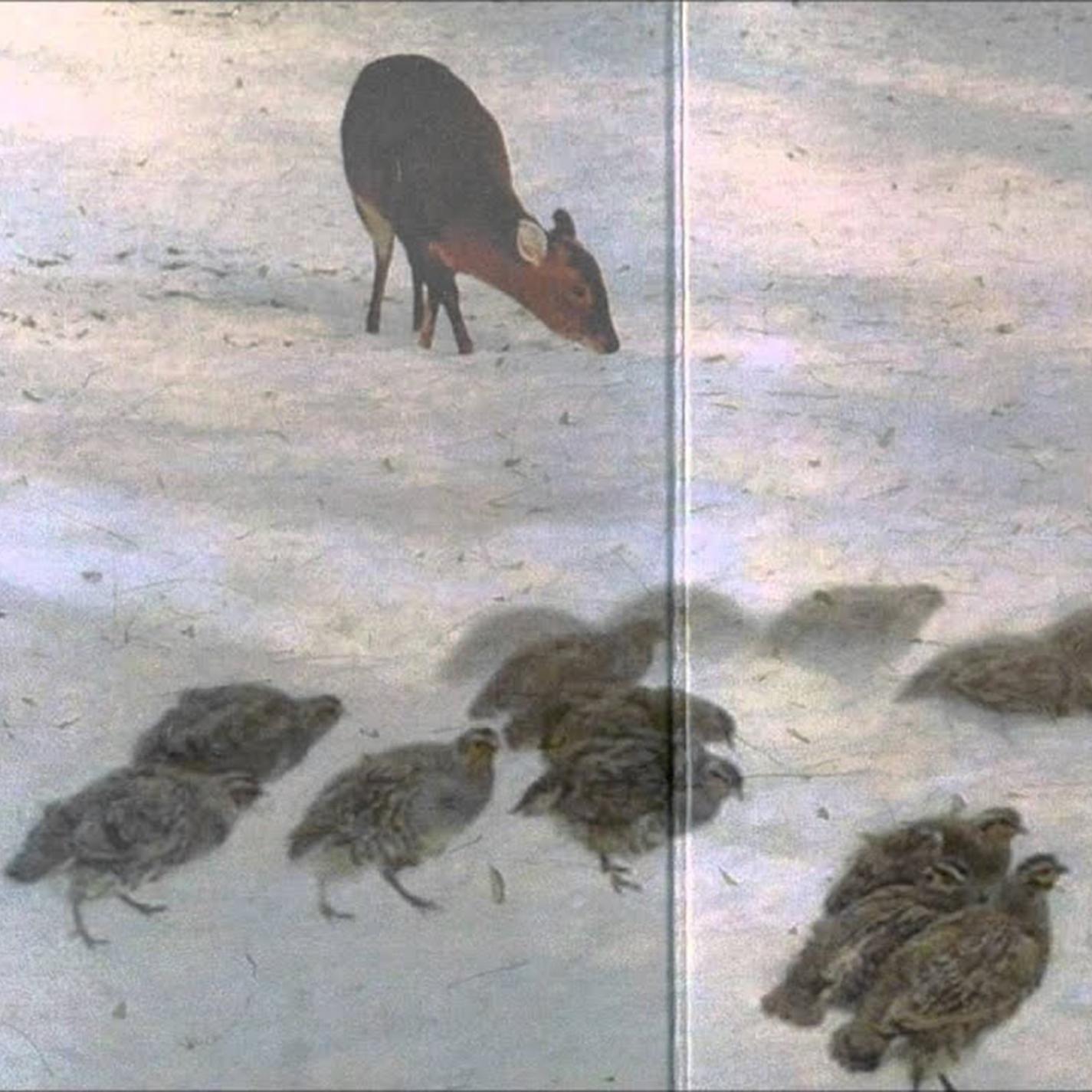 Релиз In Snow On Ice Cabbage Dances