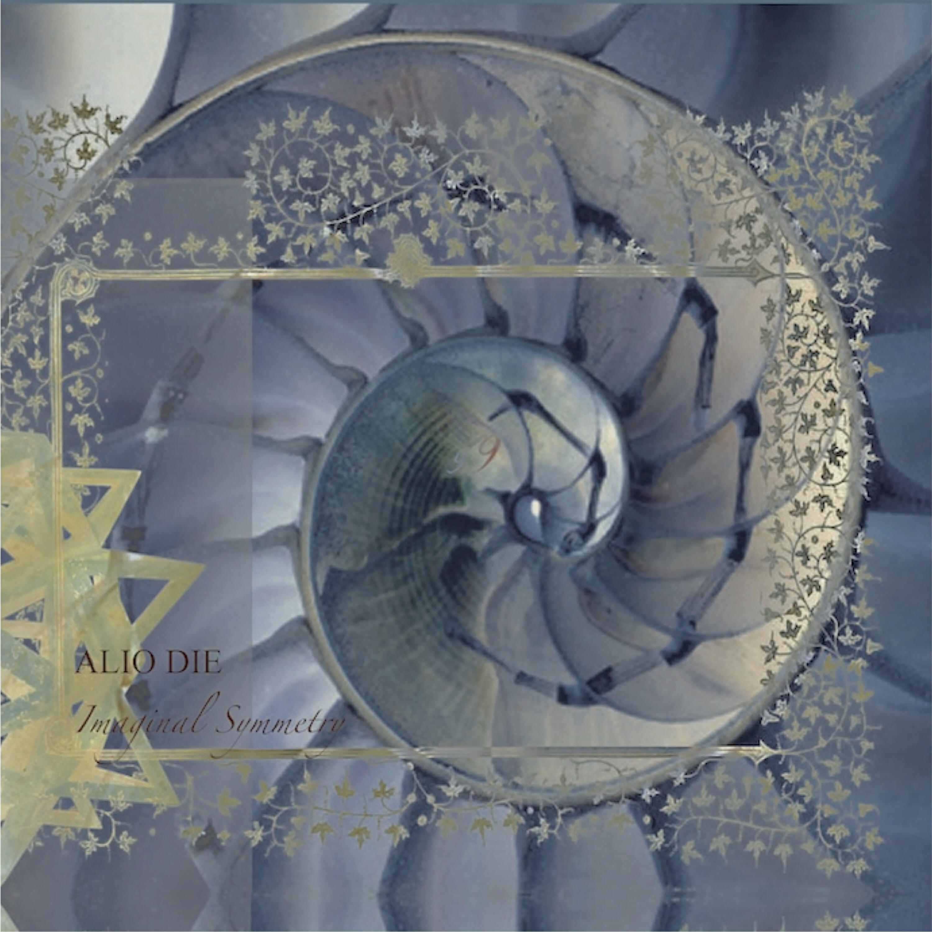 Релиз Imaginal Symmetry