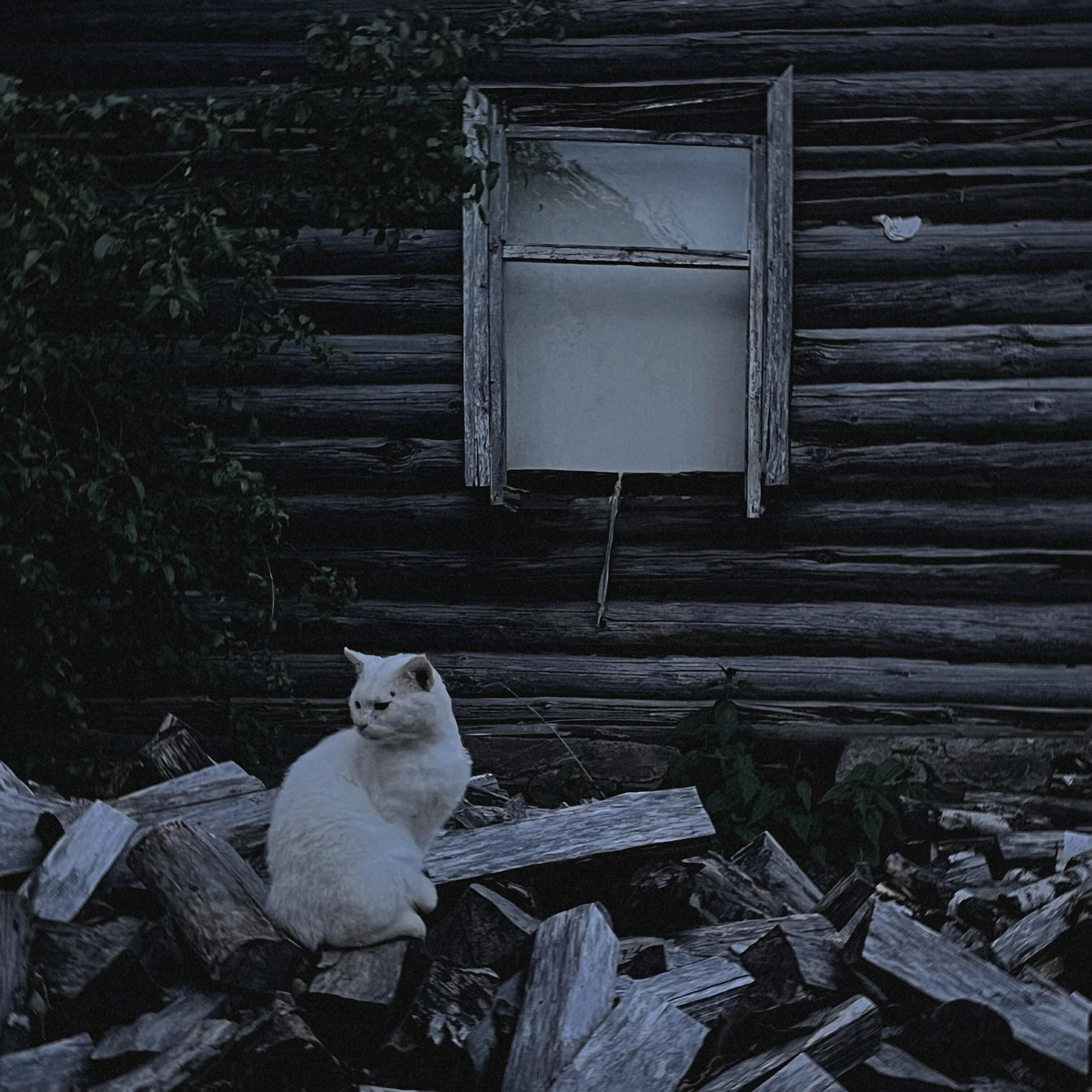 Релиз нас нет