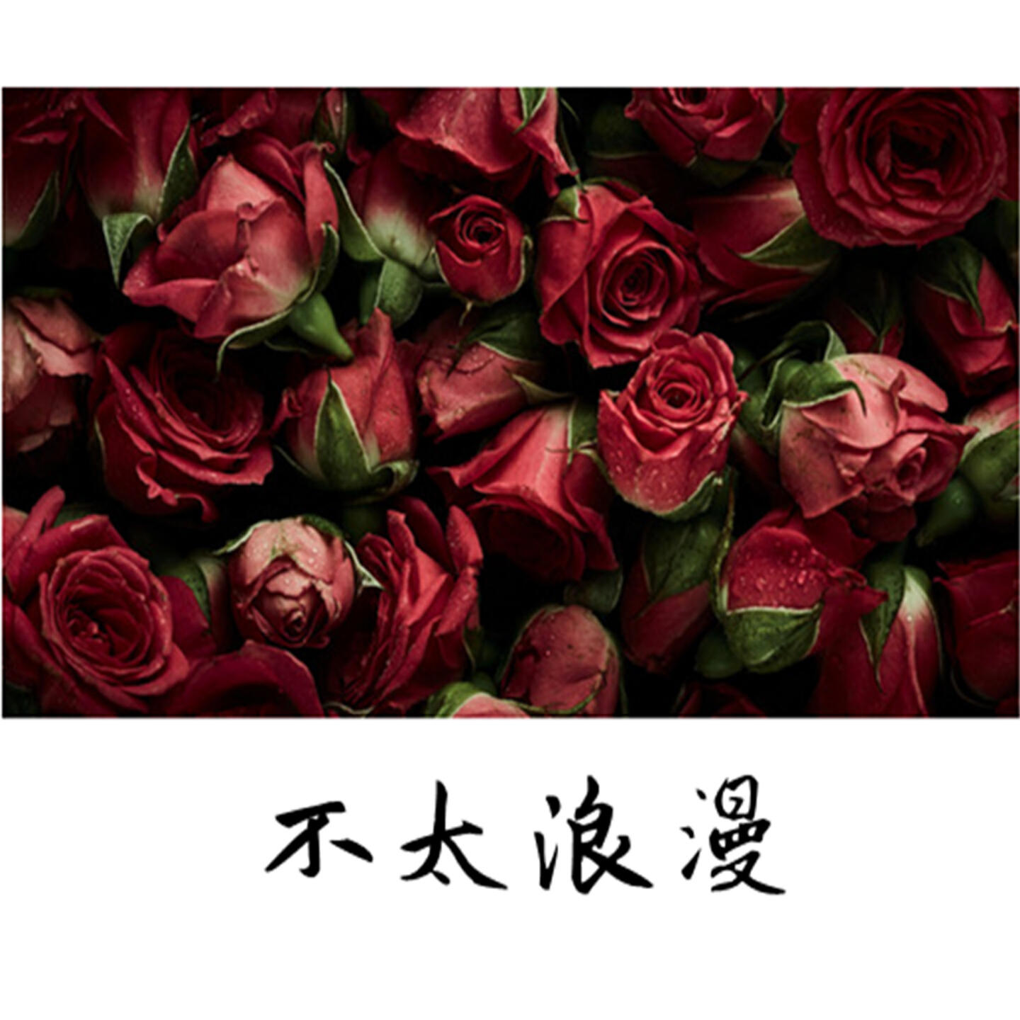 Релиз 不太浪漫