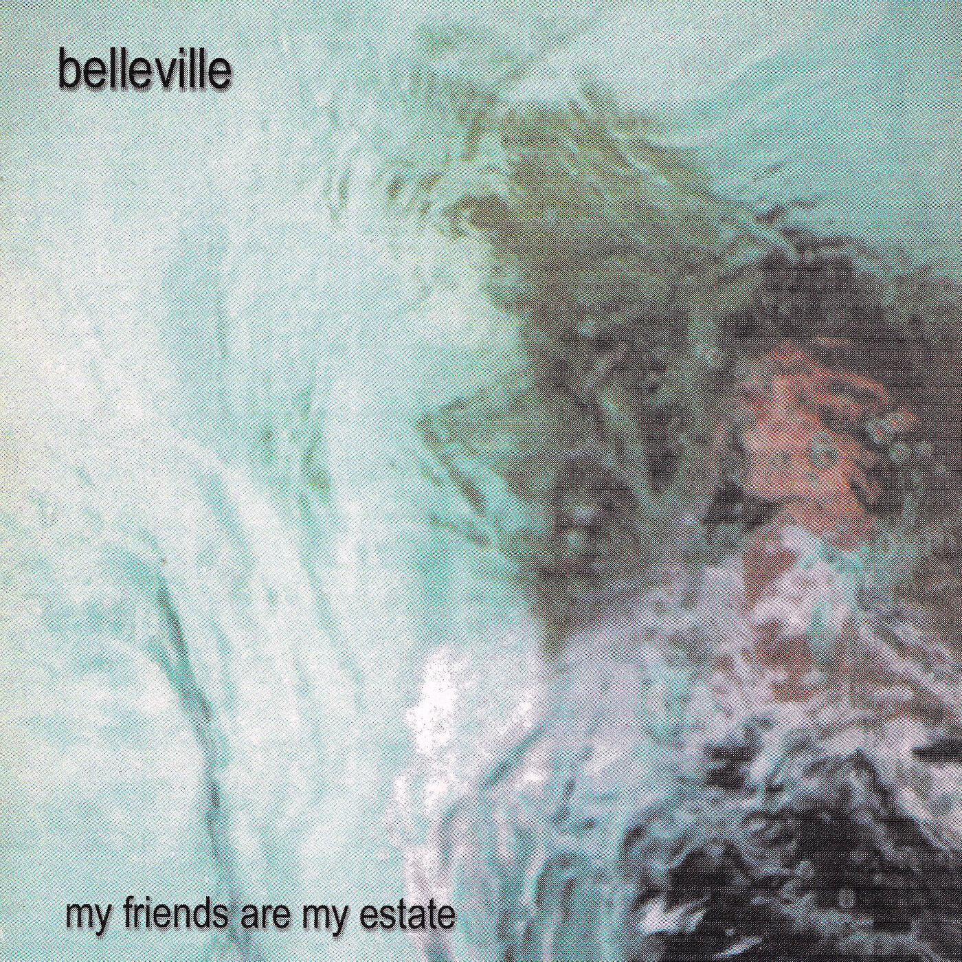 Релиз My Friends Are My Estate
