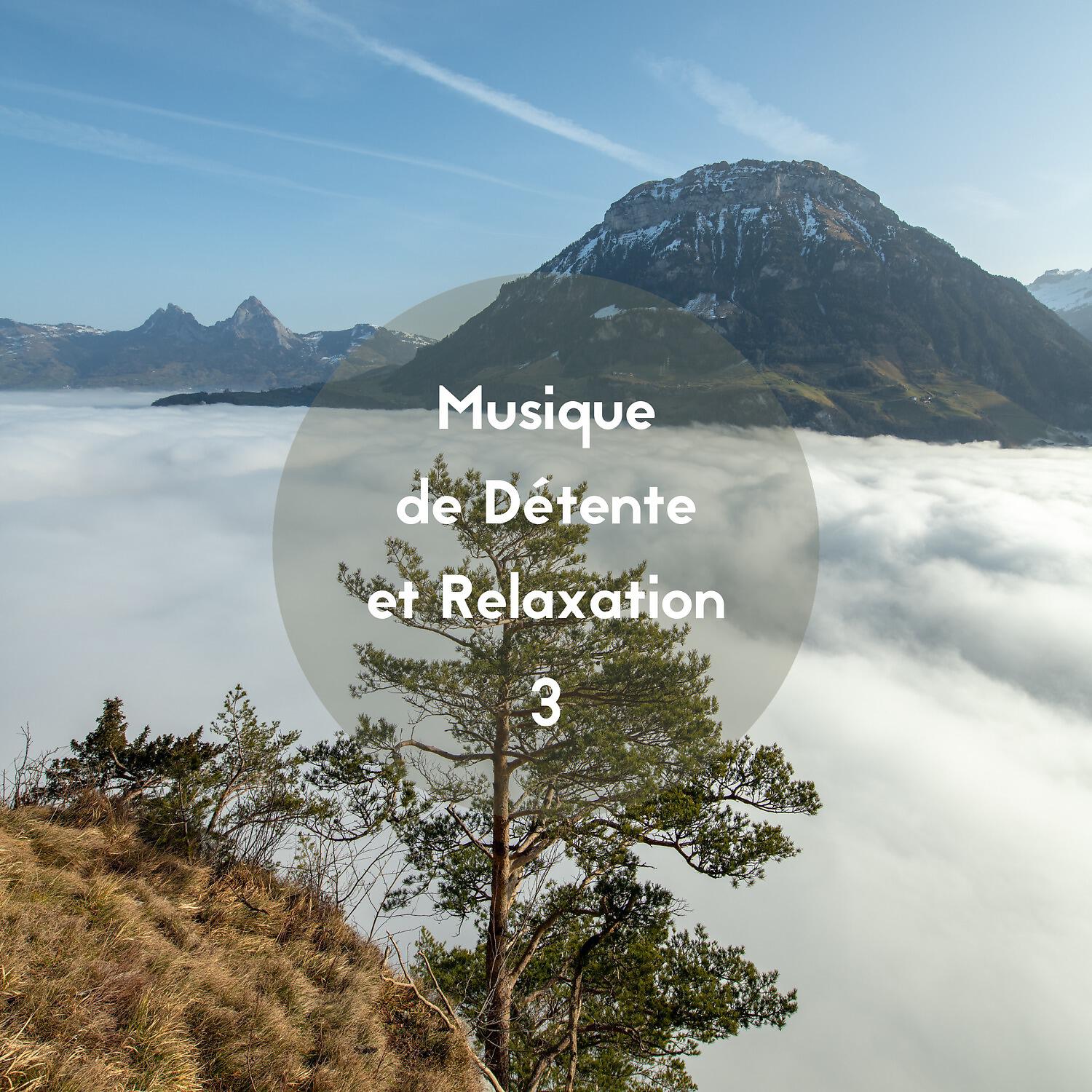 Релиз Musique de détente et relaxation, Vol. 3