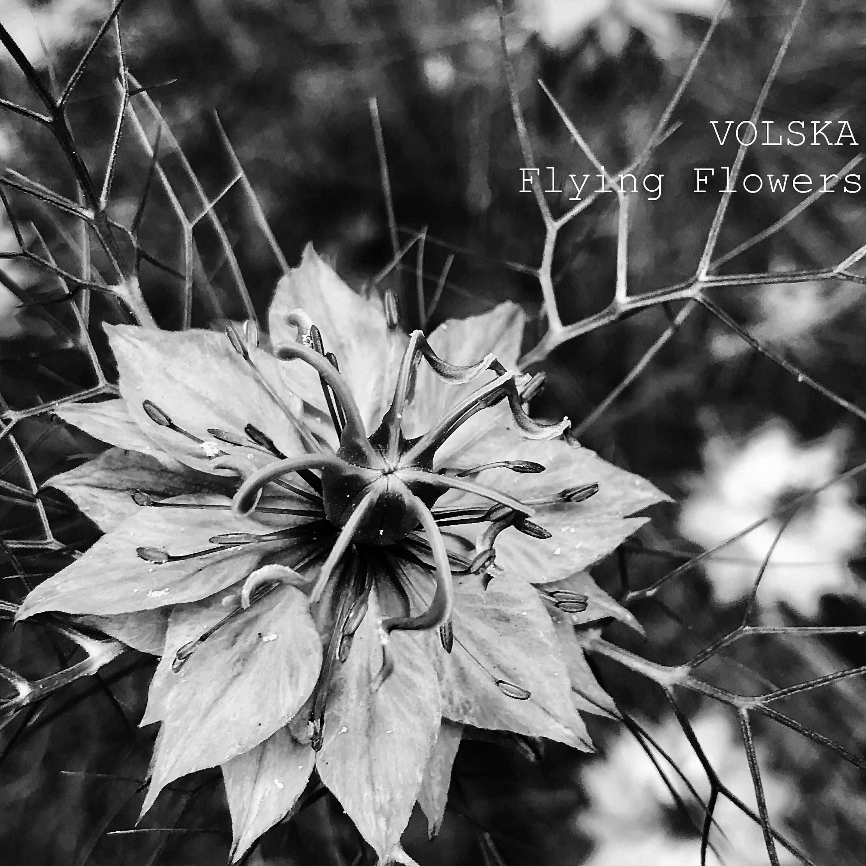 Релиз Flying Flowers