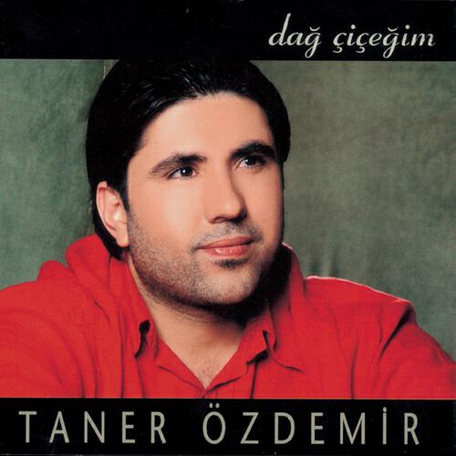 Релиз Dağ Çiçeğim