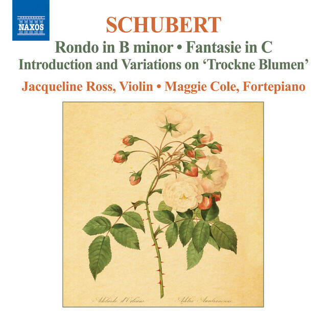 Релиз Schubert: Complete Works for Violin and Fortepiano, Vol. 2