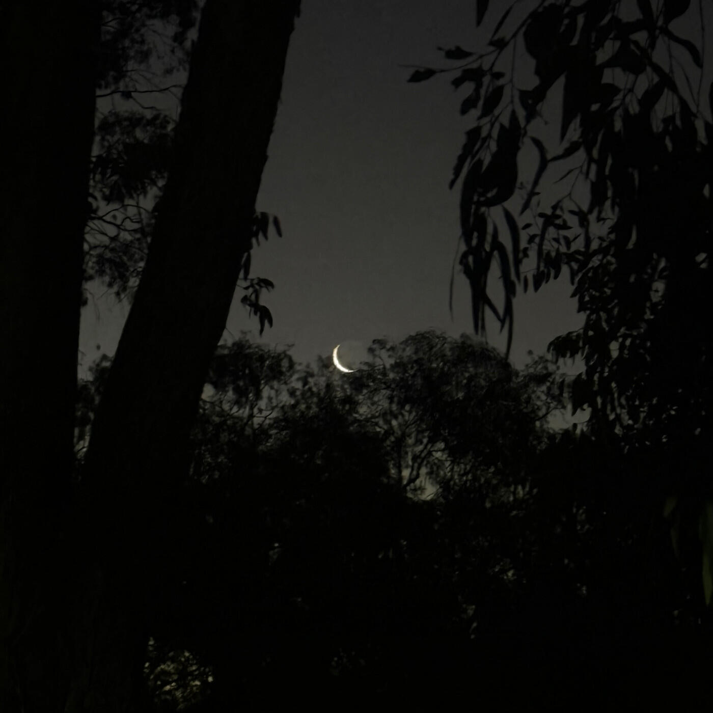 Релиз Luna