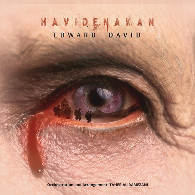 Релиз Havidenakan