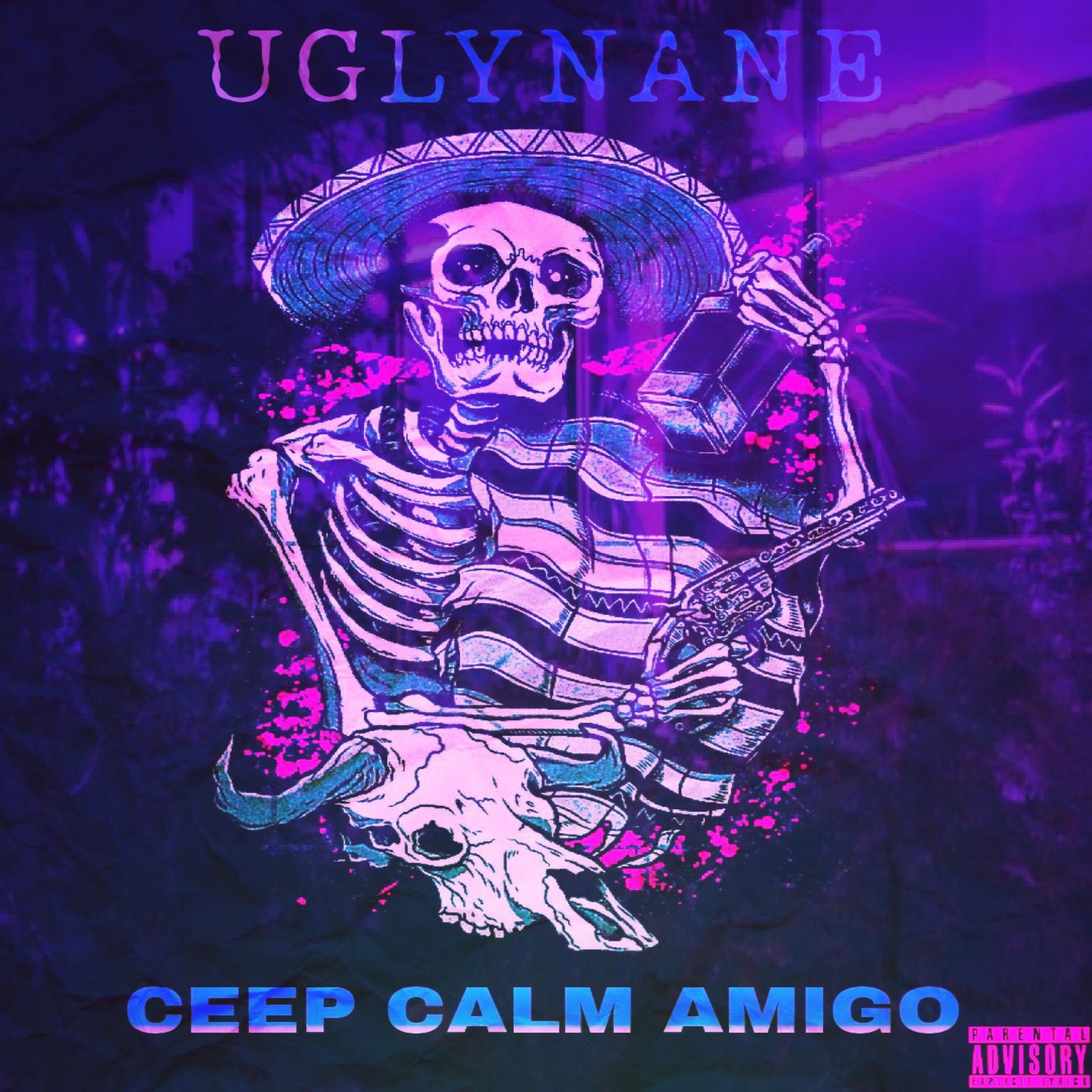 Релиз CEEP CALM AMIGO