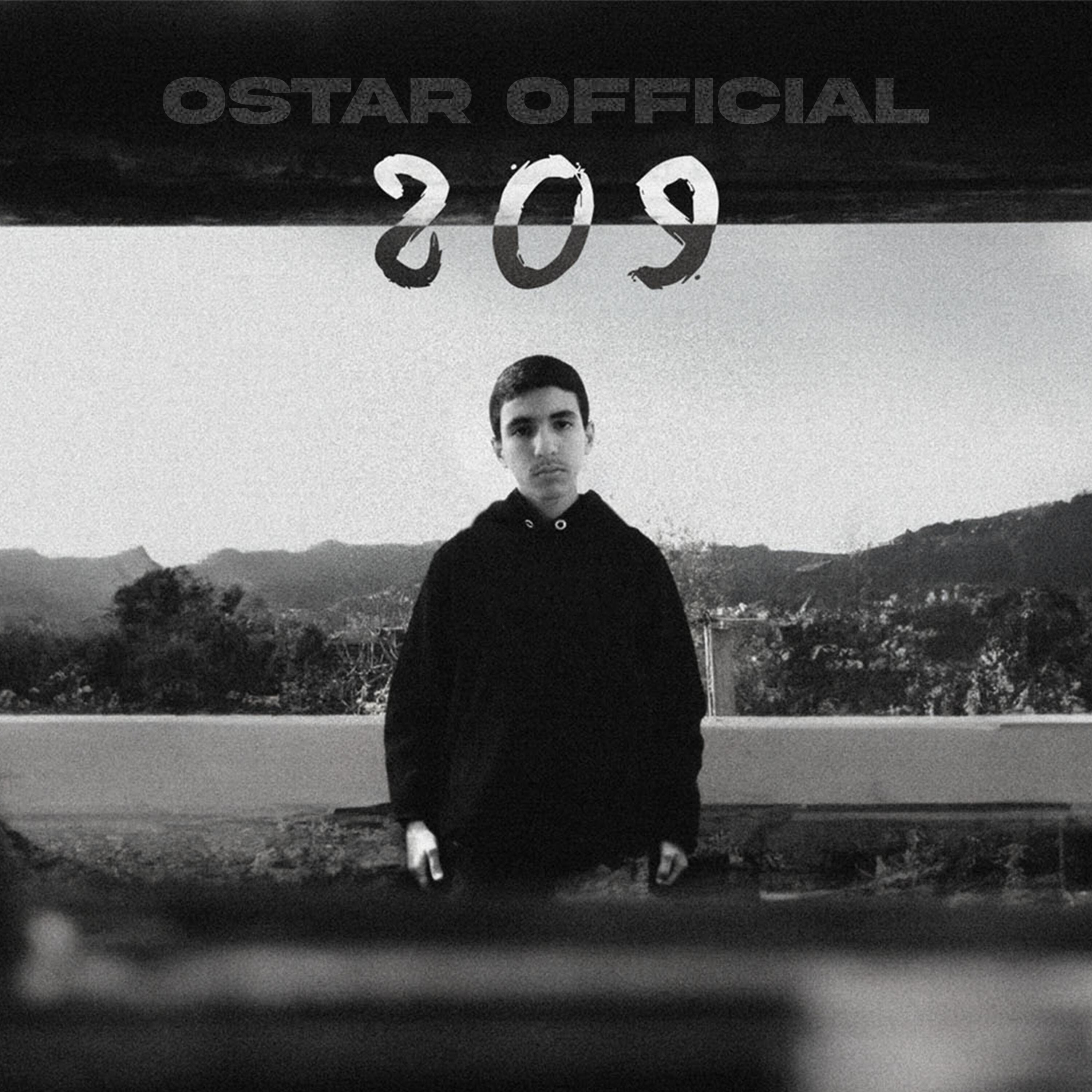 Релиз 209