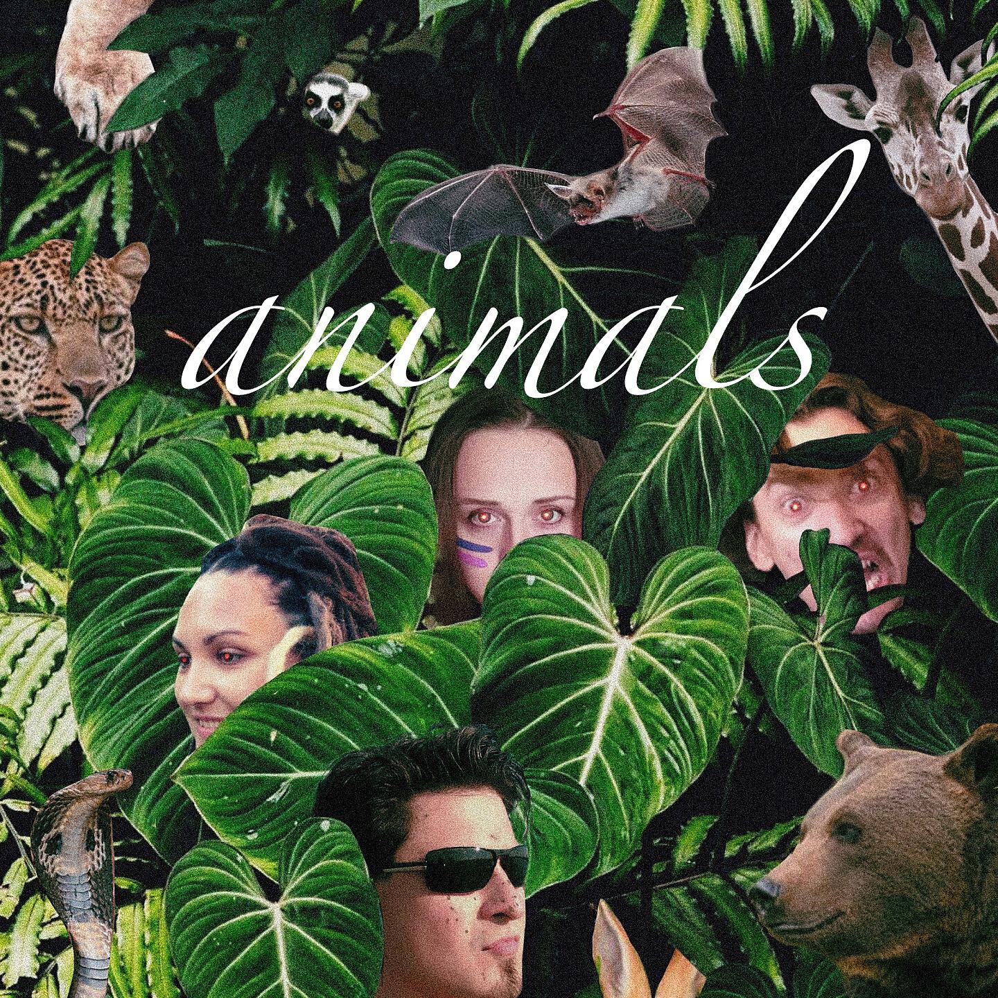 Релиз Animals