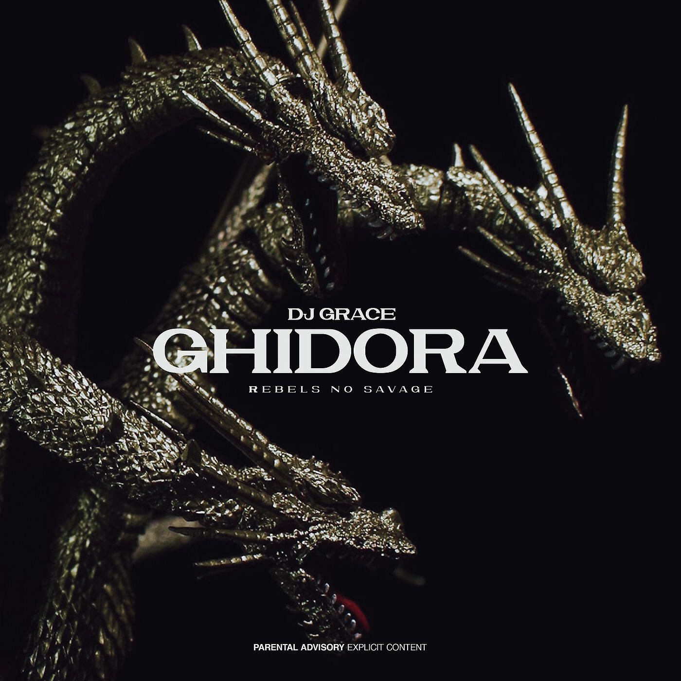 Релиз Ghidora