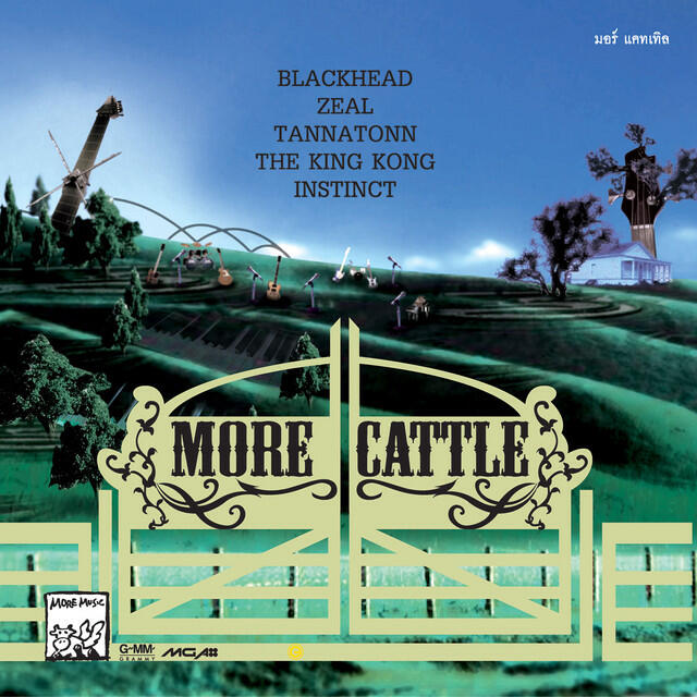 Релиз More Cattle