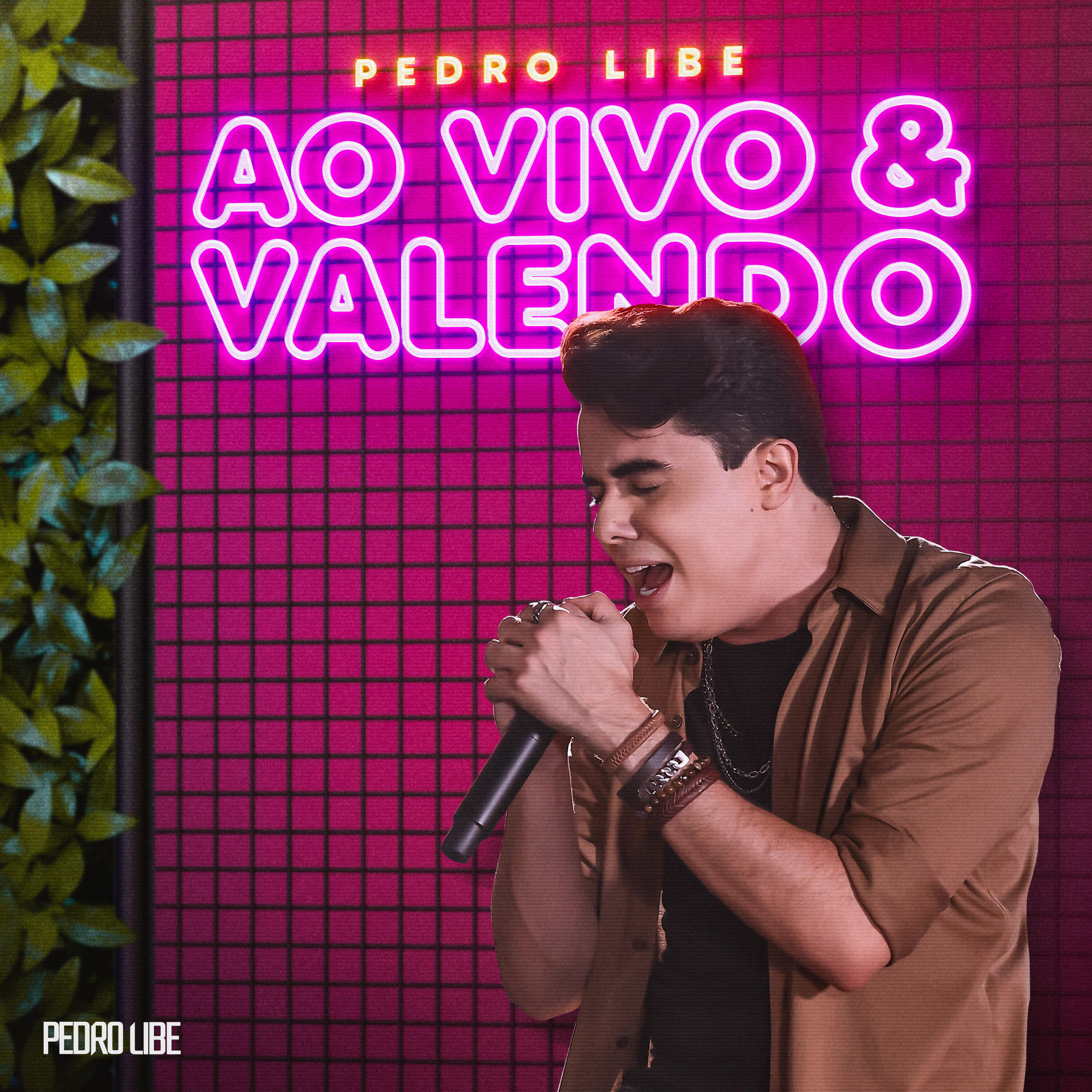 Релиз Ao Vivo & Valendo