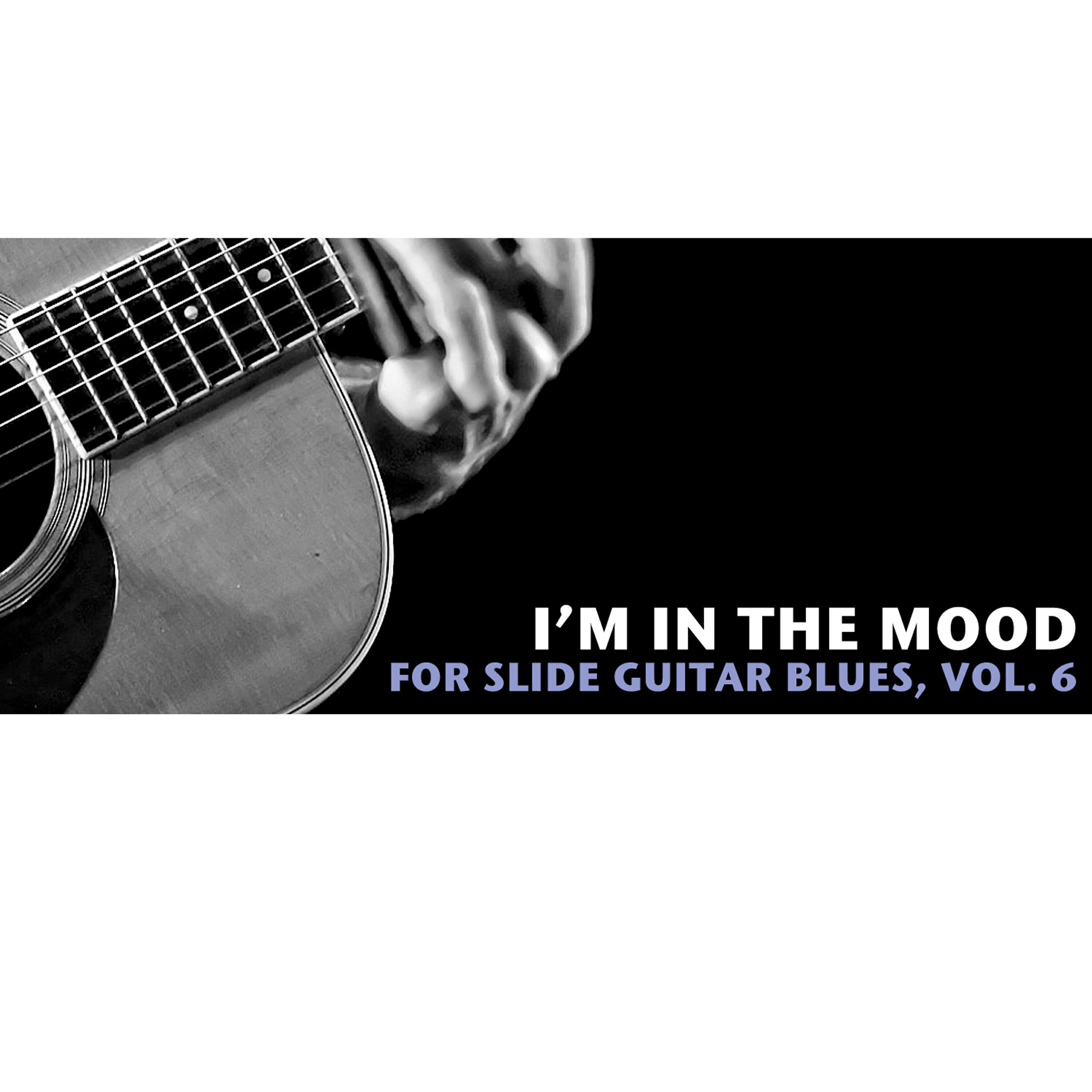 Постер альбома I'm in the Mood Slide Guitar Blues, Vol. 6