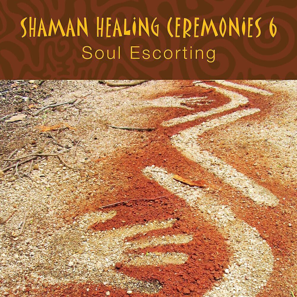Shaman Pathways