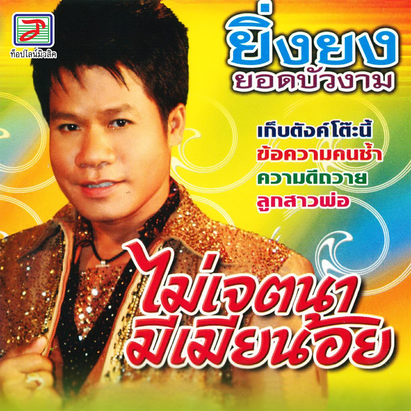 Релиз ไม่เจตนามีเมียน้อย